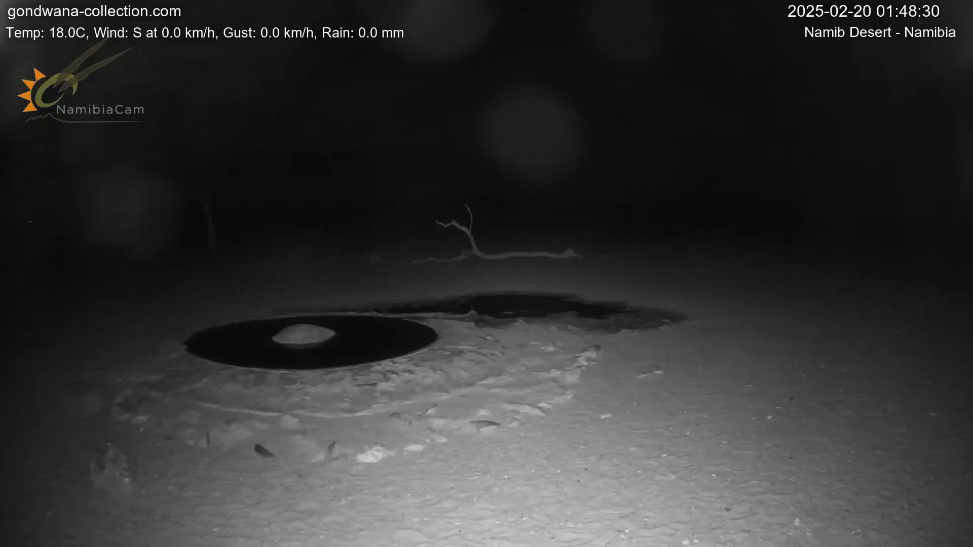 A dark, nighttime scene shows a circular, dark pool of water on a light-colored sandy surface, with a small, dead tree branch in the background.