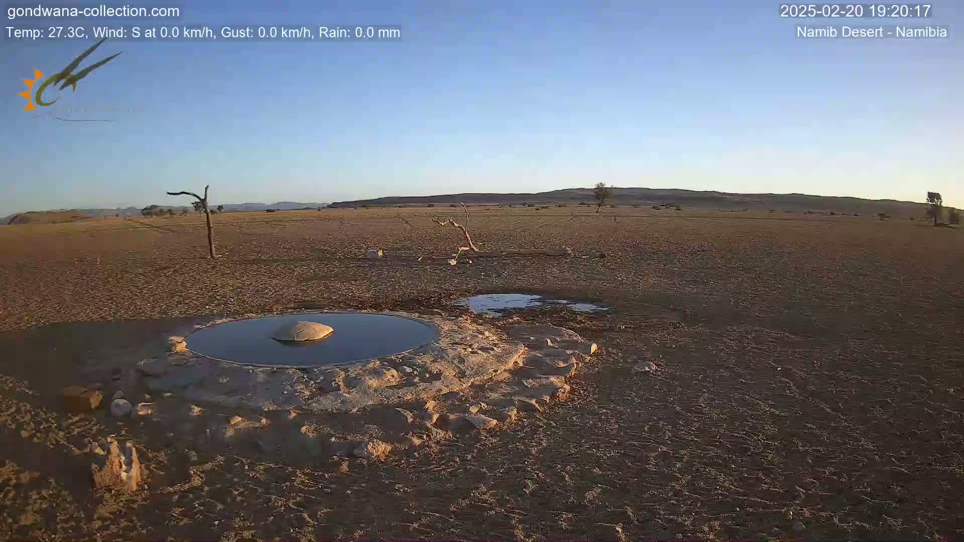 A small, dark pool of water sits in a stone basin in a dry, flat desert under a clear blue sky.