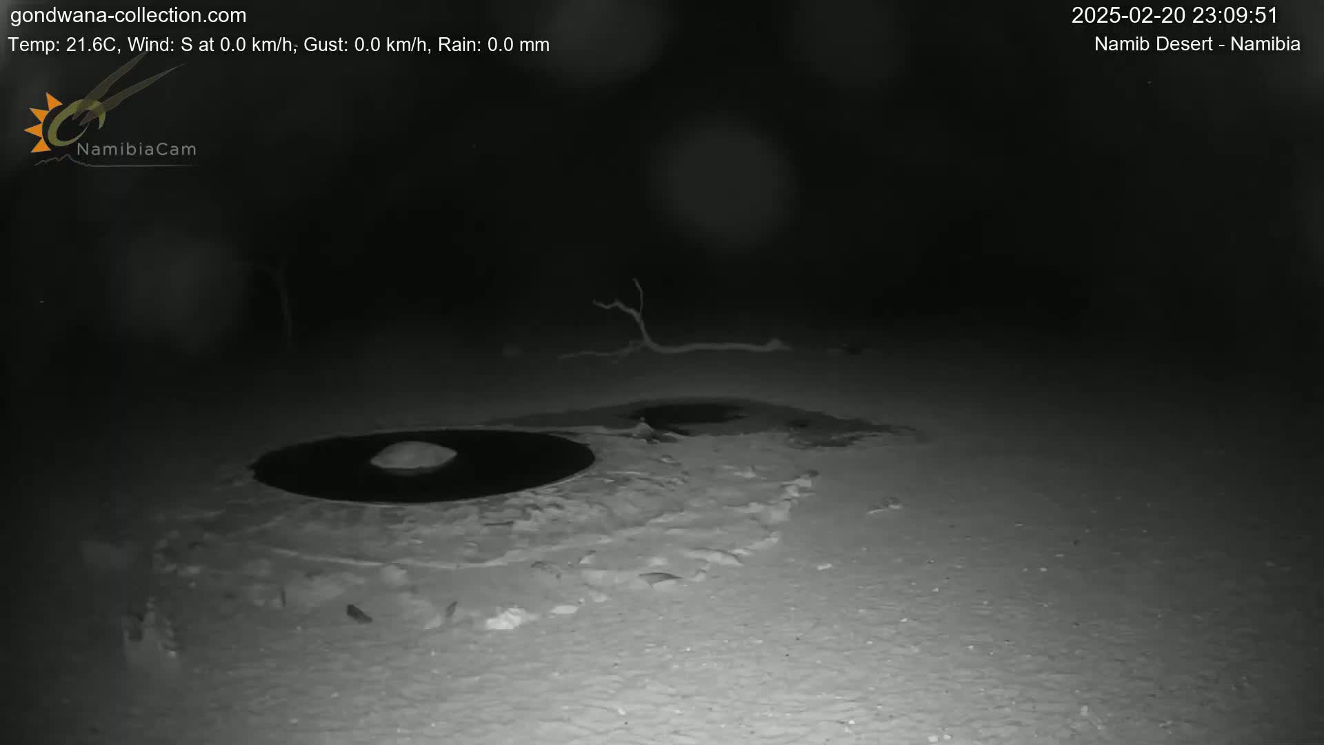 A nighttime, low-light image shows a dark, circular area in a light-colored, sandy area, possibly a puddle or water feature.
