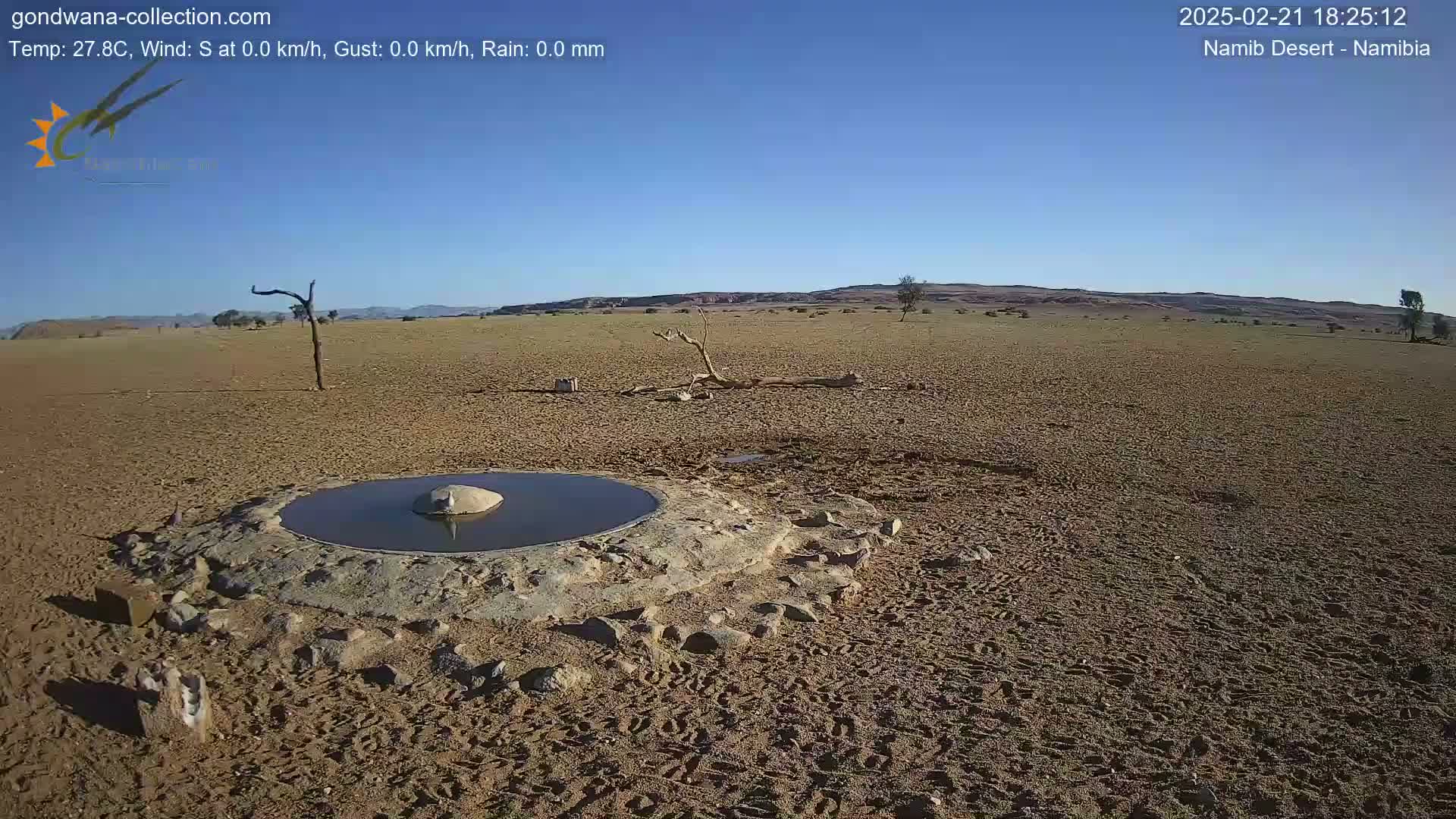 A small, man-made waterhole sits in a dry, sandy desert under a clear blue sky.
