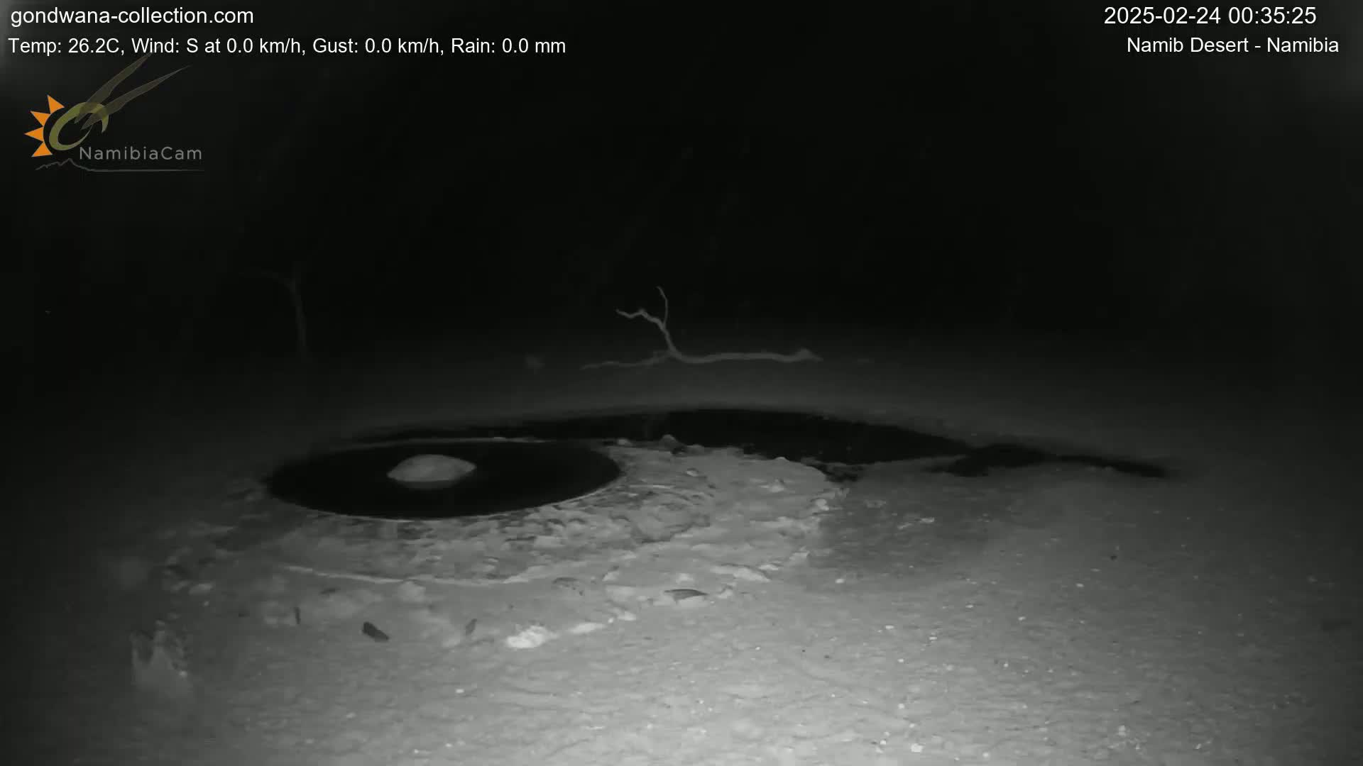 A dark, nighttime scene shows a shallow, dark pool of water surrounded by light-colored sand or earth, with a small, dark object in the center of the pool.