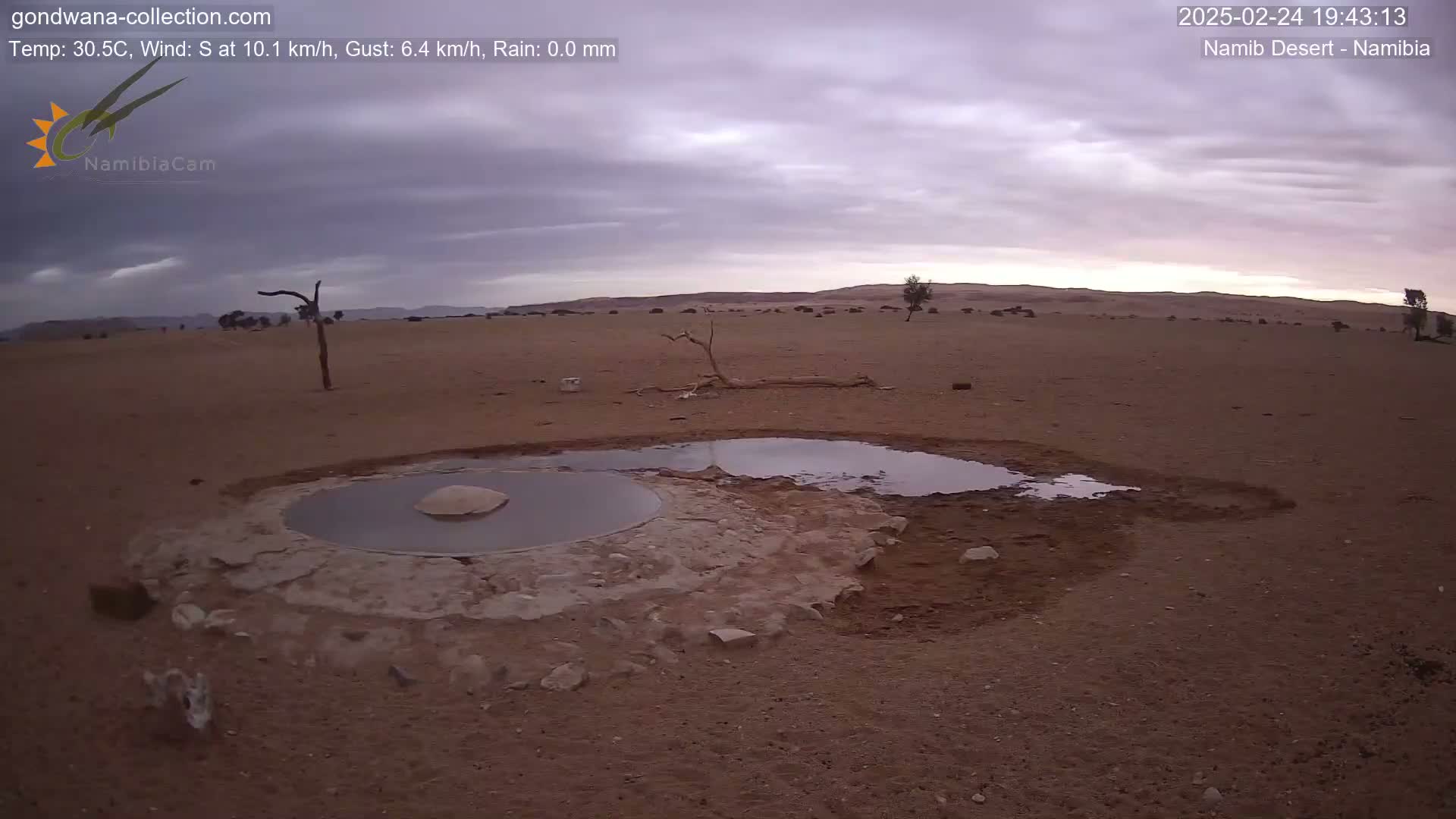 A shallow, partially filled waterhole sits in a sandy desert under a mostly cloudy, dusky sky.