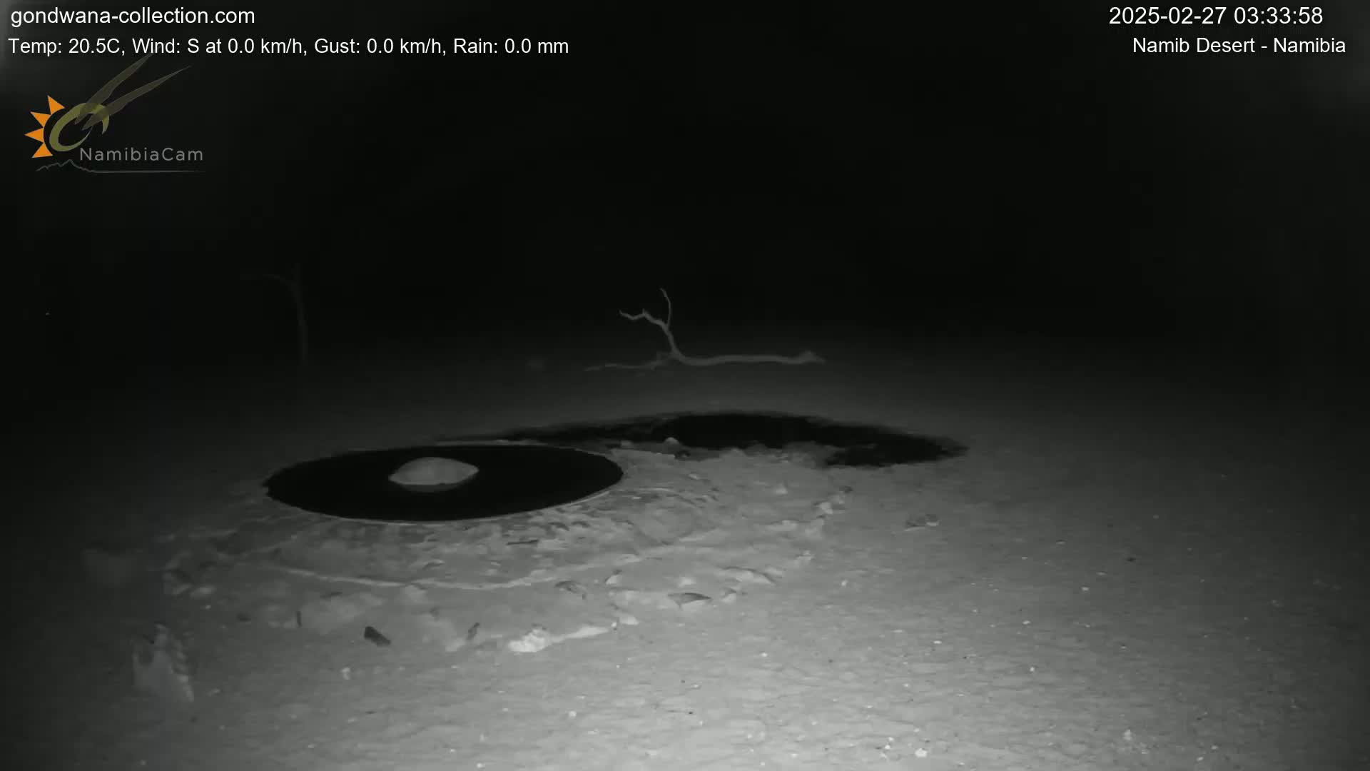 A dark, nighttime scene in the Namib Desert shows a circular, dark area on the ground near a small, dry branch, with a slightly lighter-colored, sandy or snowy ground surrounding it.
