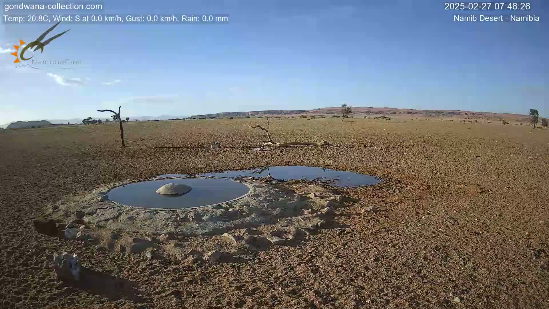 A dry, sandy desert landscape under a clear blue sky features two small pools of water near a stone structure, with sparse vegetation including a dead tree.