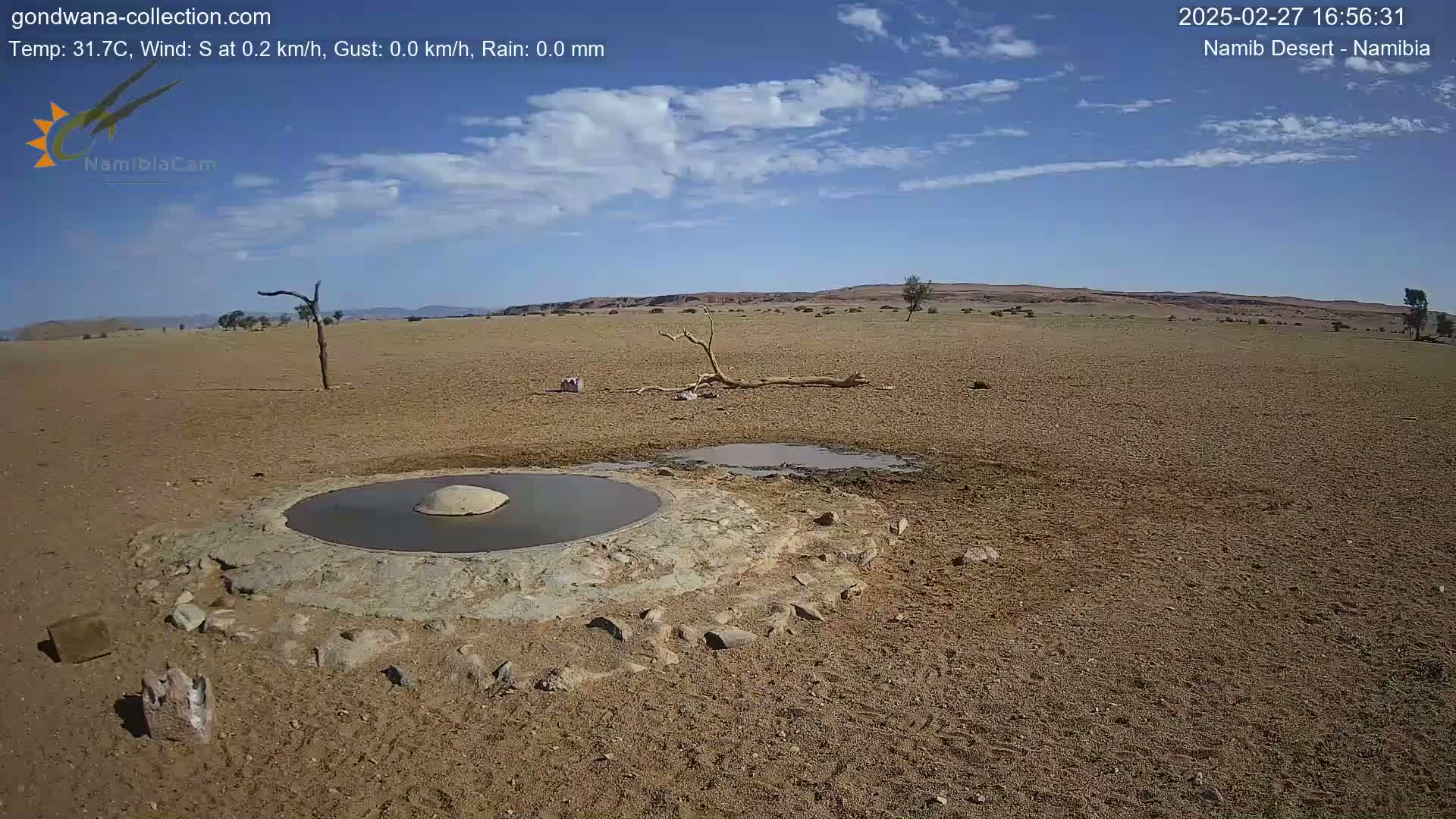 A mostly clear, sunny day in a desert landscape shows a small, man-made waterhole with a few scattered rocks and a dead tree branch lying on the dry ground.