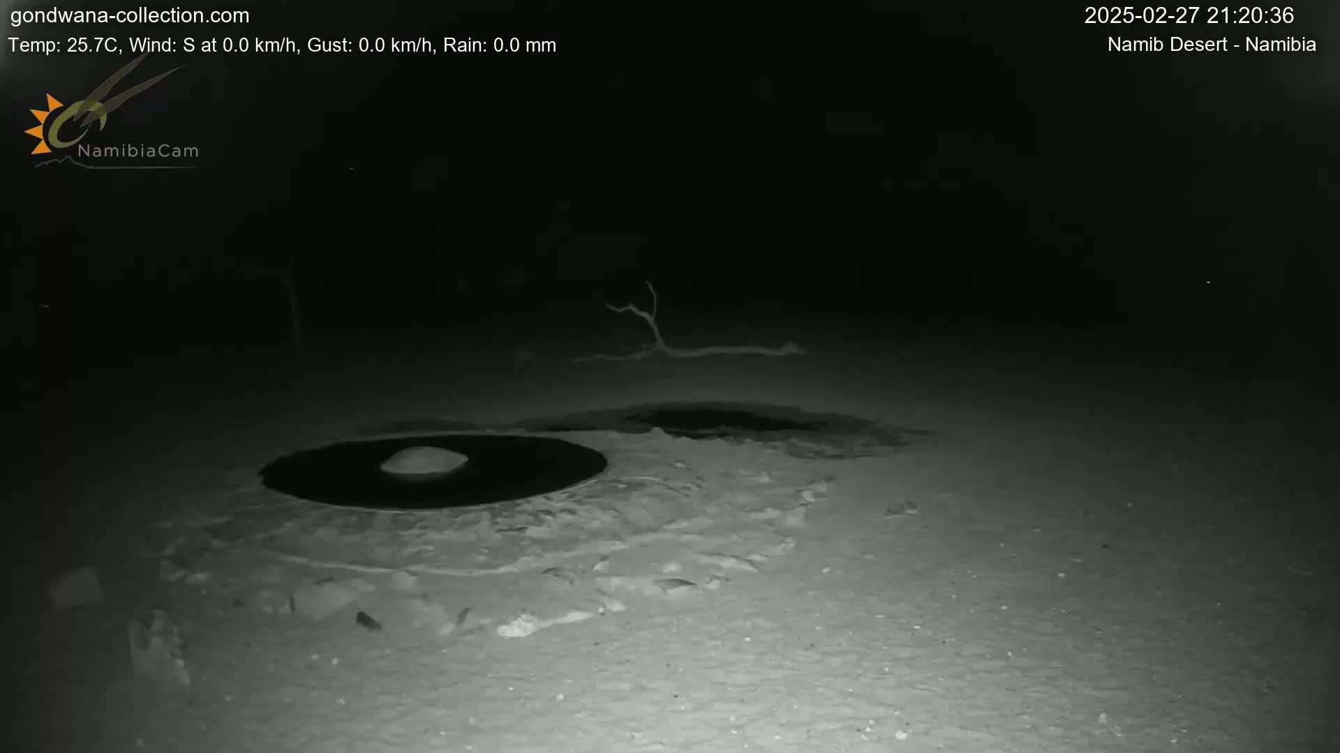 A dark, nighttime scene shows a circular, dark patch of water on a light-colored, sandy surface, near a small, barren tree, under clear, calm conditions.