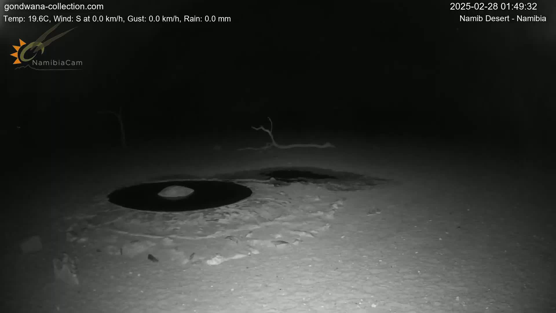 A nighttime, low-light image shows a dark, sandy or snowy ground with two dark, circular patches, one larger than the other, and a small, dark, gnarled tree branch.