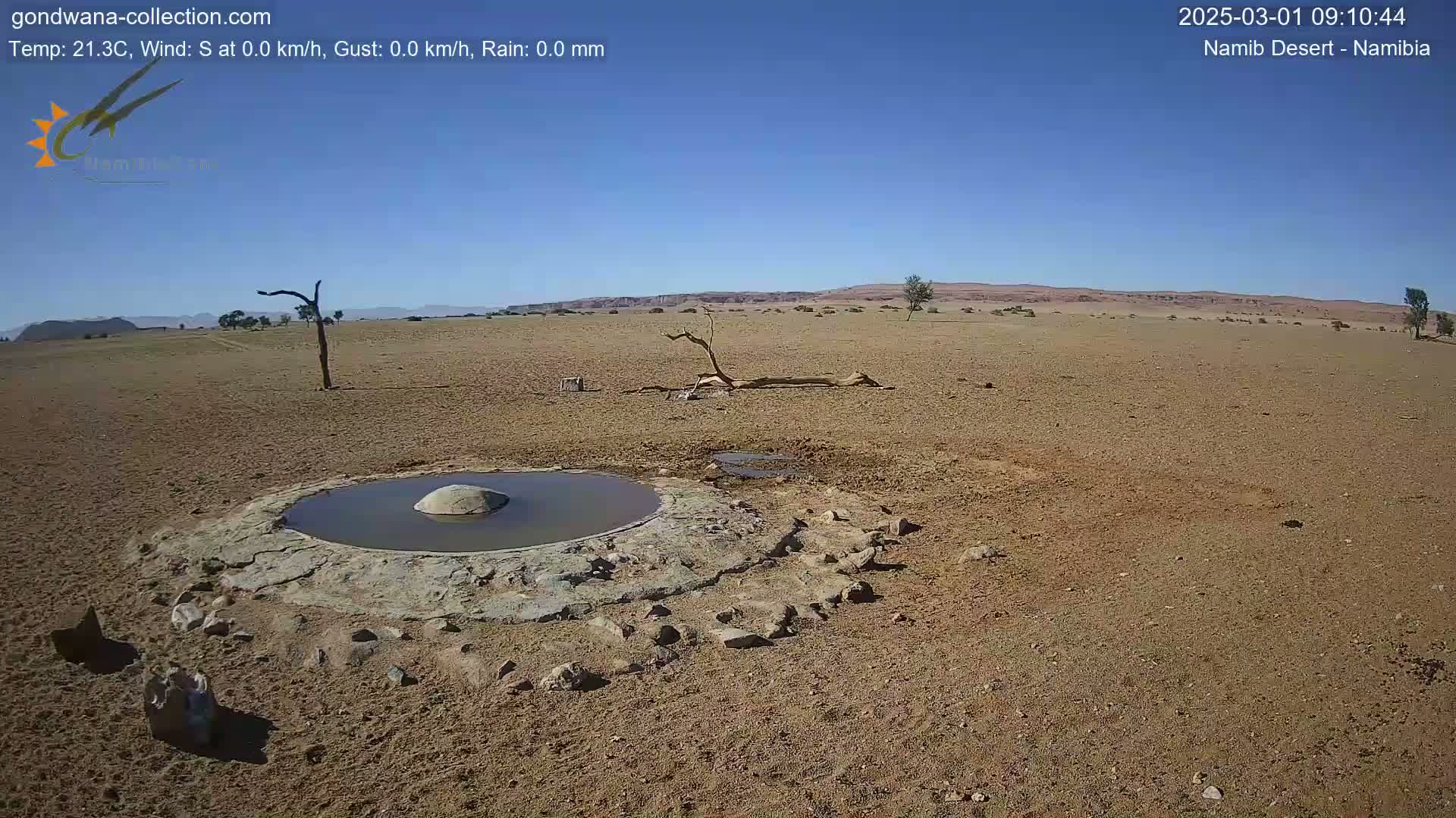 A small, shallow pool of water sits in the center of a dry, sandy desert under a clear blue sky.