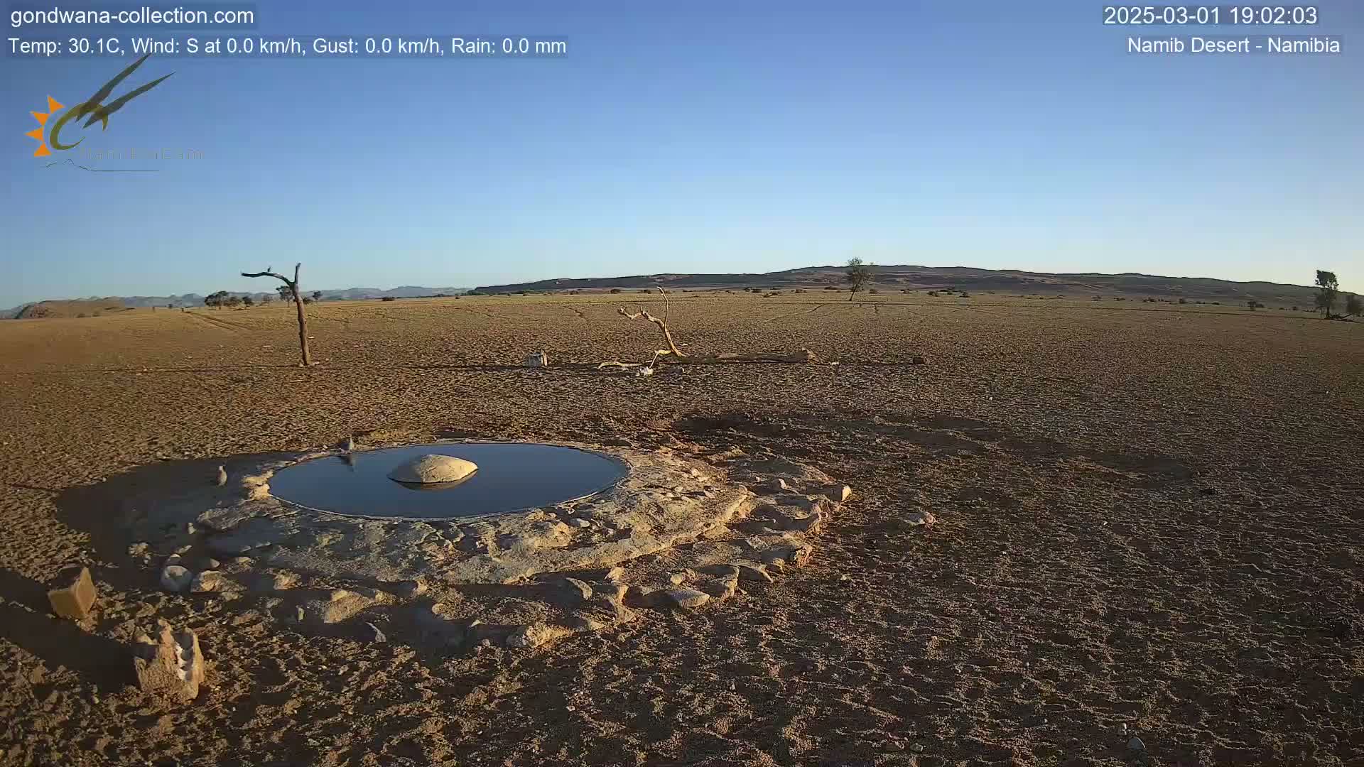 A small, dark pool of water sits in a shallow, rocky basin in a dry, sandy desert under a clear blue sky.