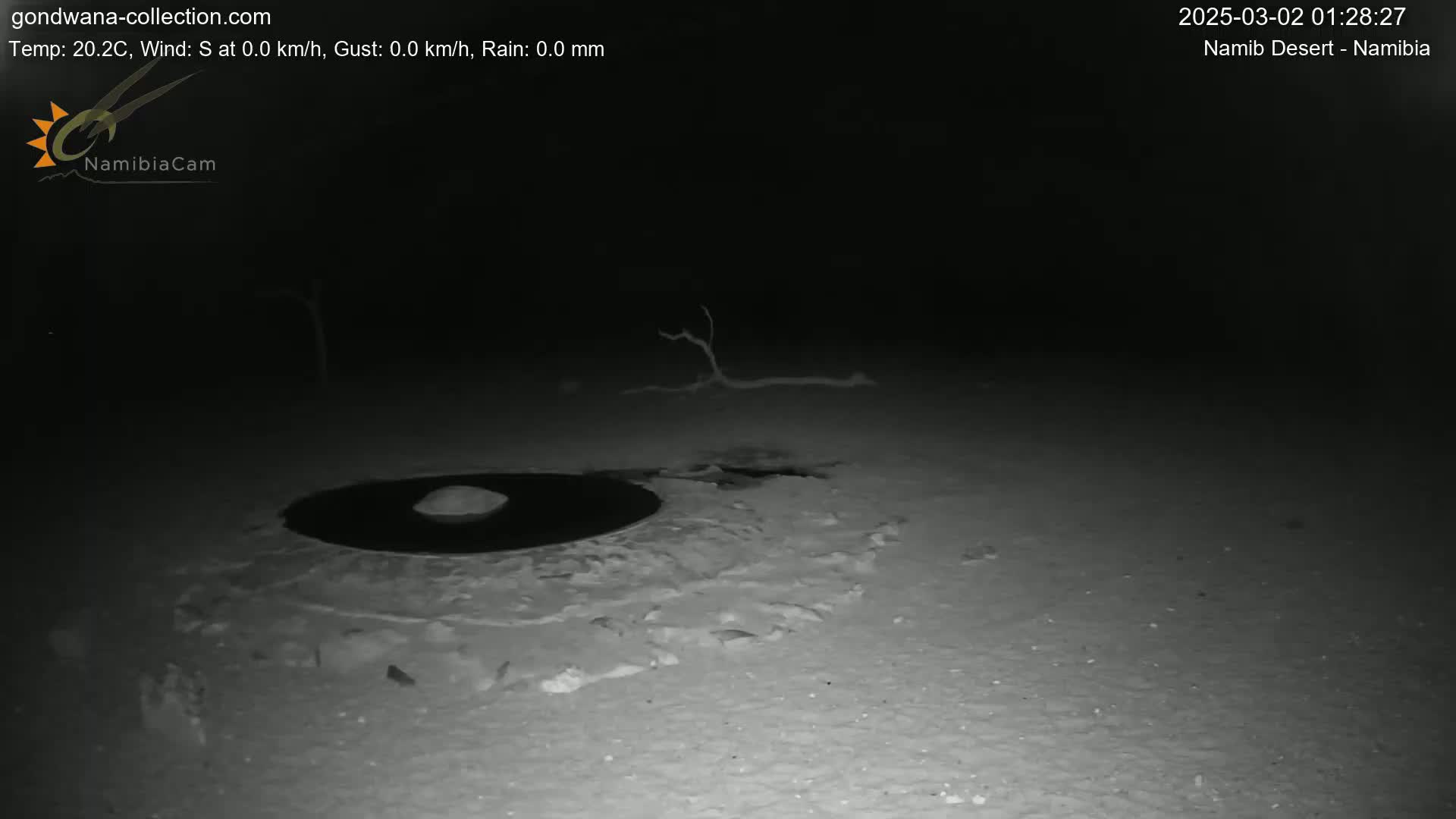 A dark, nighttime scene shows a circular, dark patch of ground with a small mound in the center, surrounded by lighter-colored sand, with a small, dead branch visible in the distance.