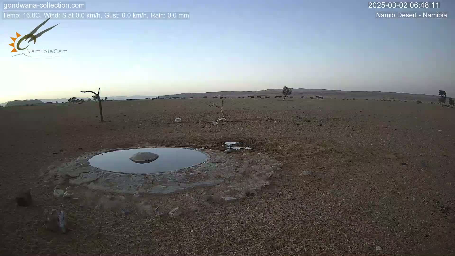 A small, shallow pool of water sits in the center of a dry, sandy desert landscape under a clear, light-blue sky.