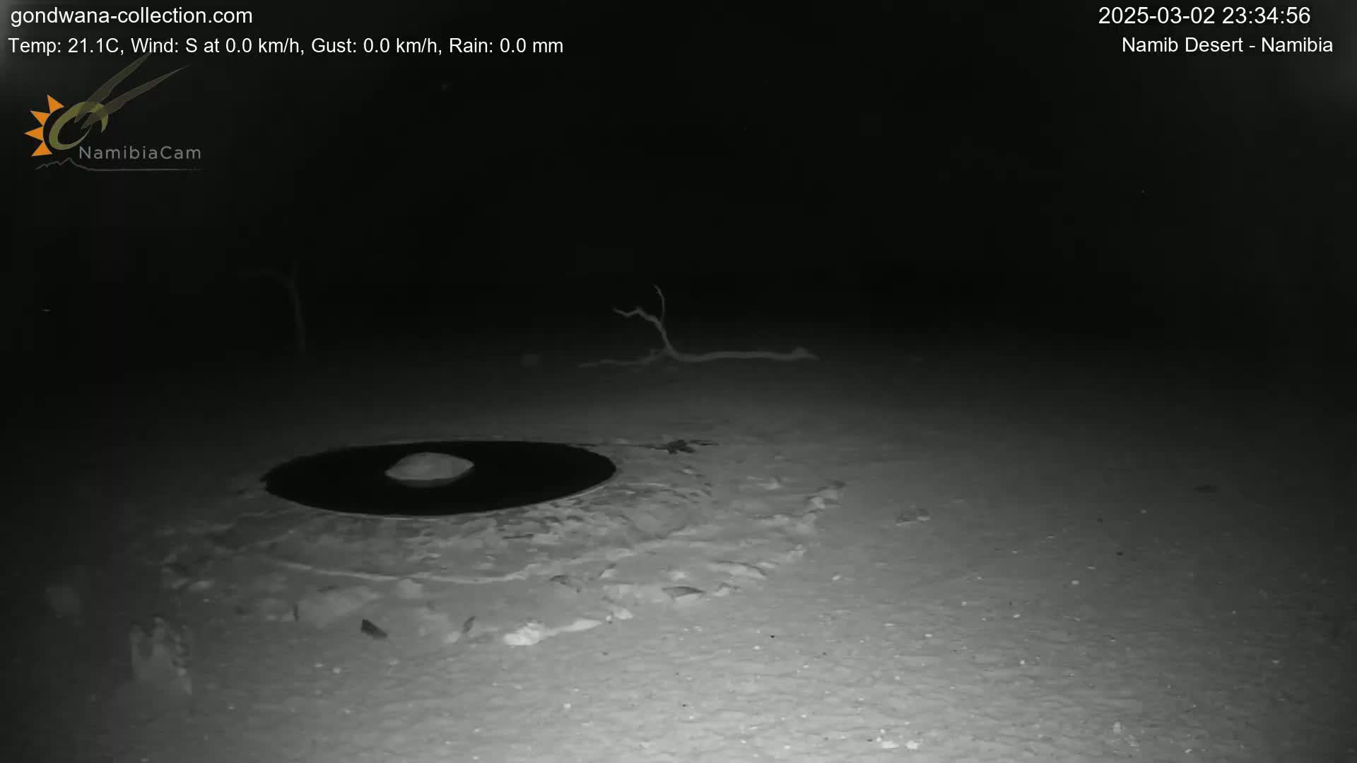 A dark, nighttime scene shows a circular, dark object on the ground surrounded by lighter colored sand or snow, with a small branch lying in the distance.
