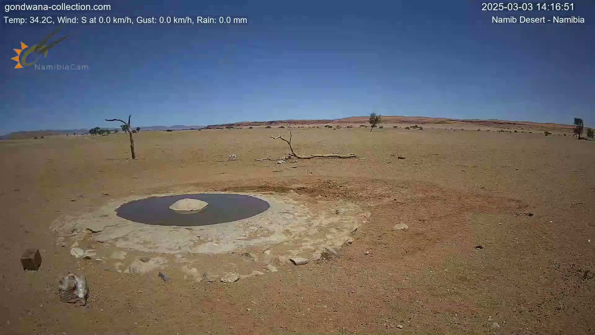 A small, dark puddle of water sits in a light-brown, dry dirt area under a clear blue sky.