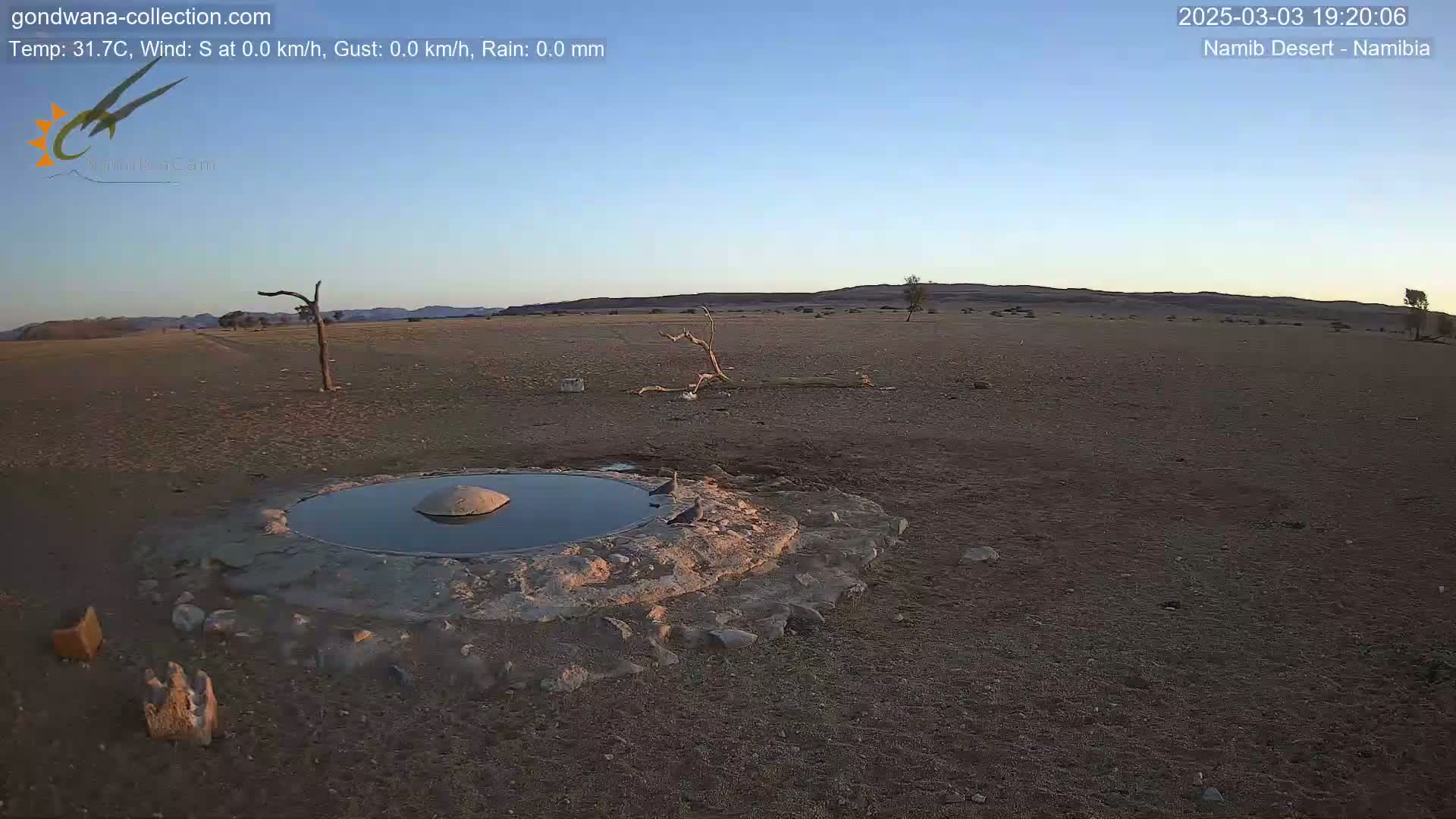 A small, shallow pool of water sits in a rocky basin in a dry, desert landscape under a clear, twilight sky.