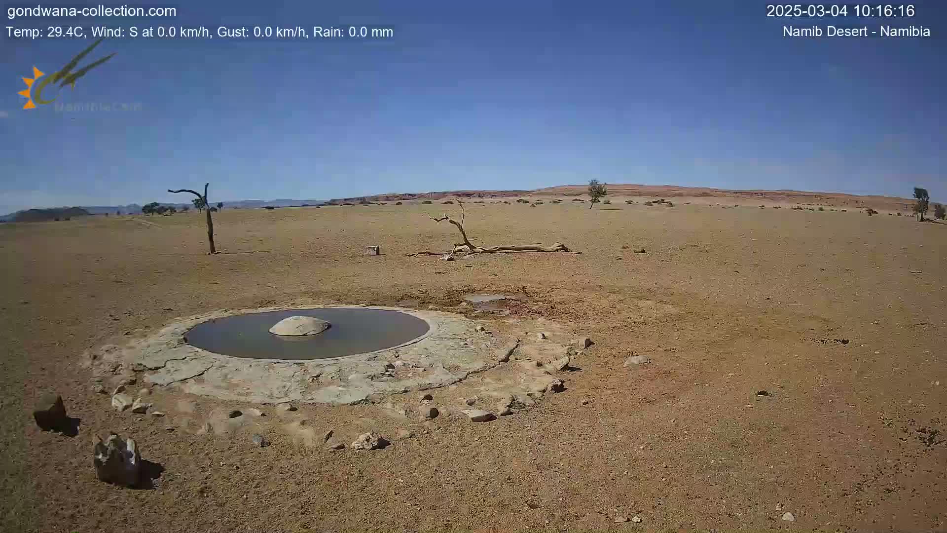 A small, shallow, circular pool of water sits in the middle of a dry, flat desert landscape under a clear blue sky.