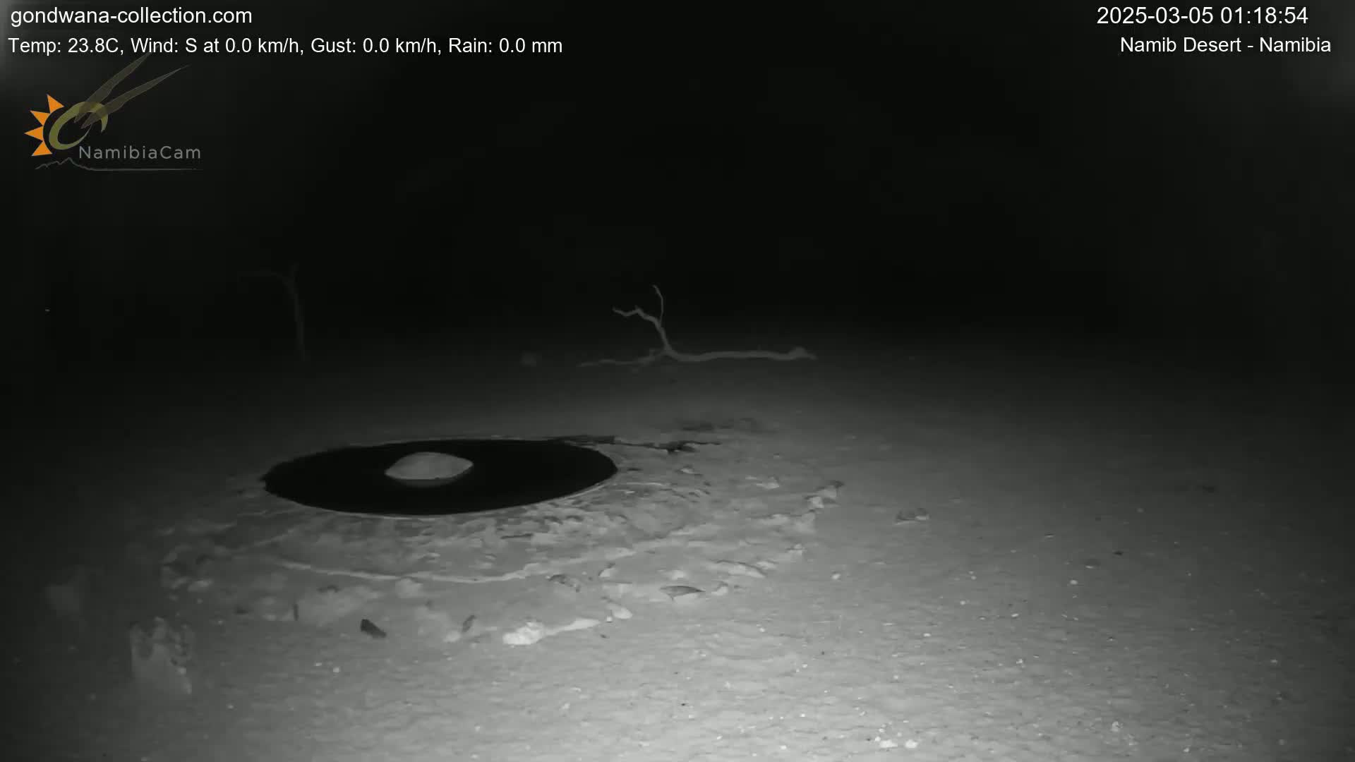 A dark, nighttime desert scene shows a circular, dark patch of ground surrounded by lighter-colored sand, with a small, dead tree branch in the background.