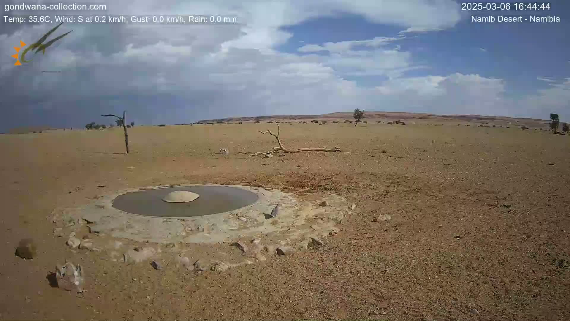 A mostly clear, blue sky overlooks a desert landscape with a small, man-made, circular water source surrounded by several birds.