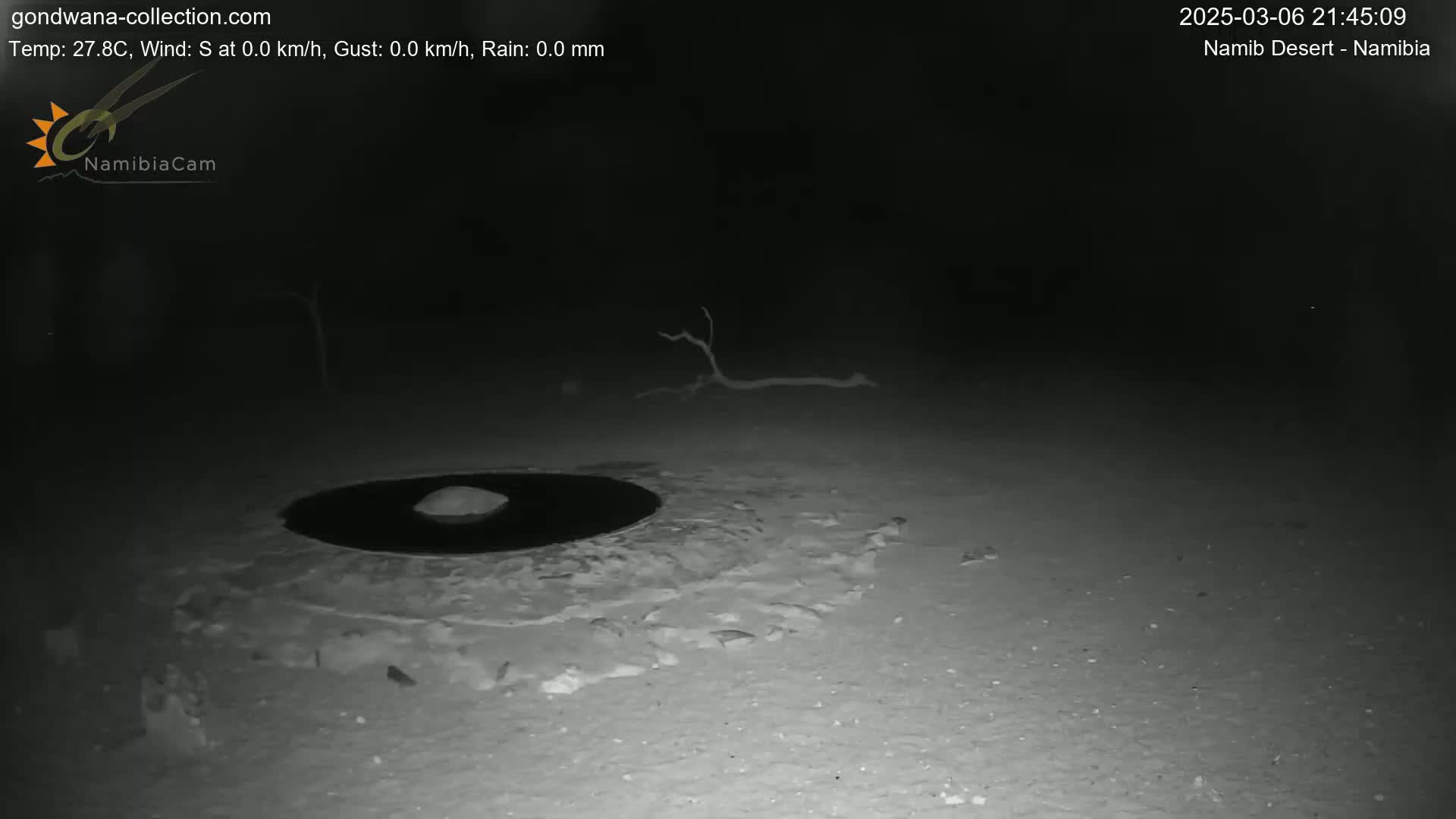 A dark, nighttime scene shows a circular, dark puddle surrounded by lighter sand, with a small, dark mound in its center and a bare branch lying on the sand nearby.