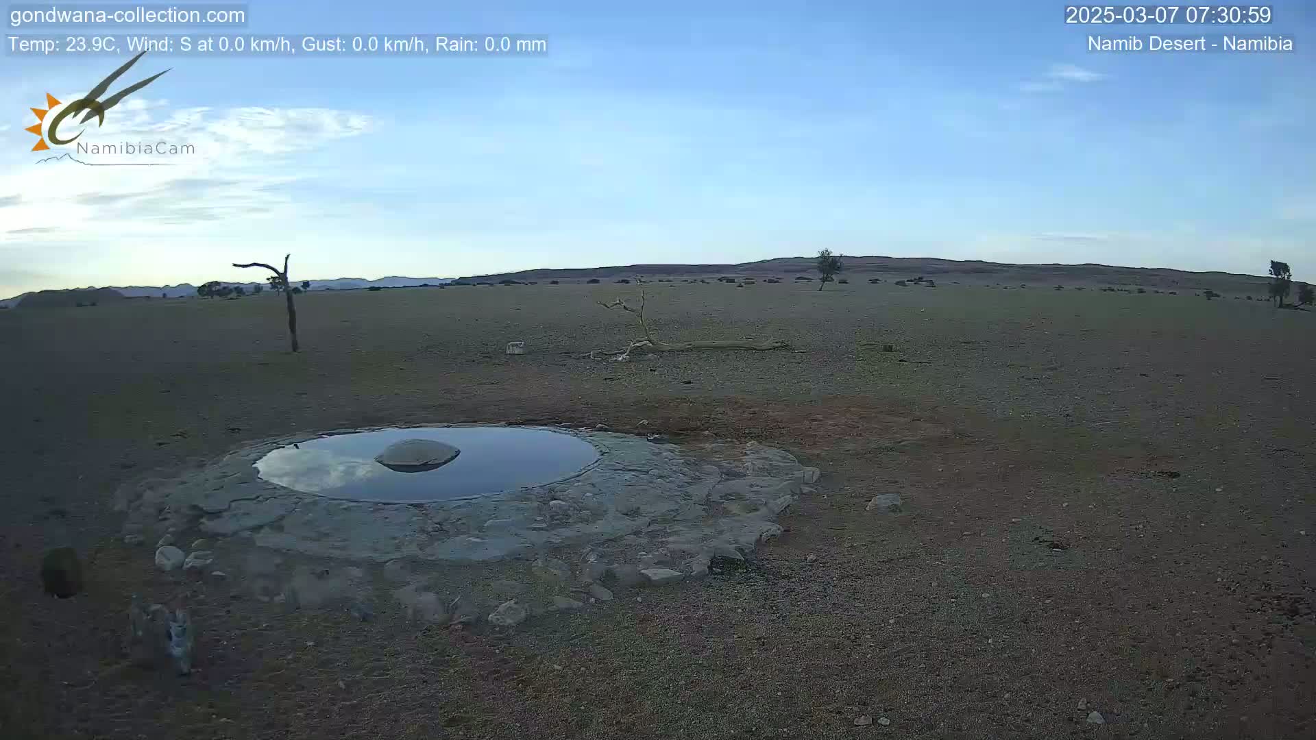 A small, shallow pool of water sits in a rocky basin in a dry, arid landscape under a clear, light-blue sky.