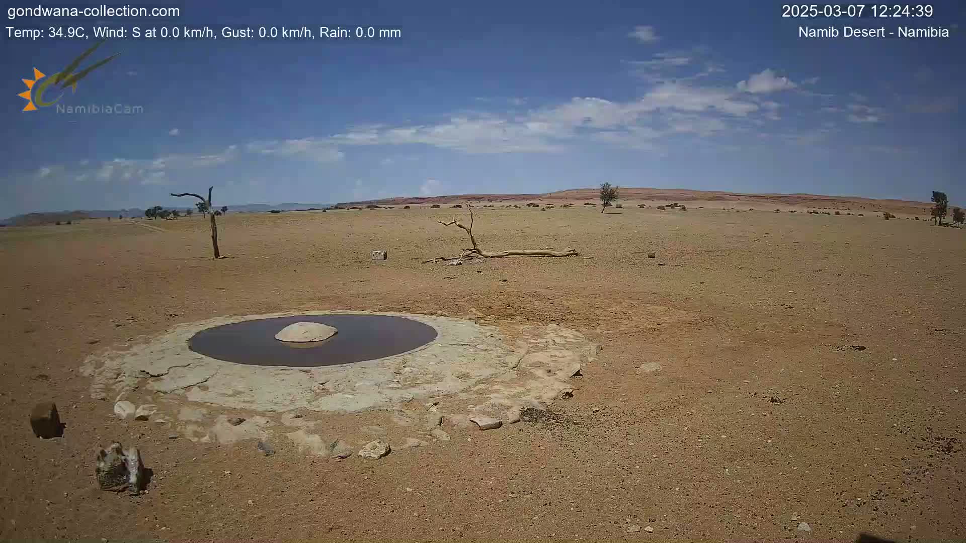 A small, dark pool of water sits in a dry, sandy desert landscape under a mostly clear, sunny sky.