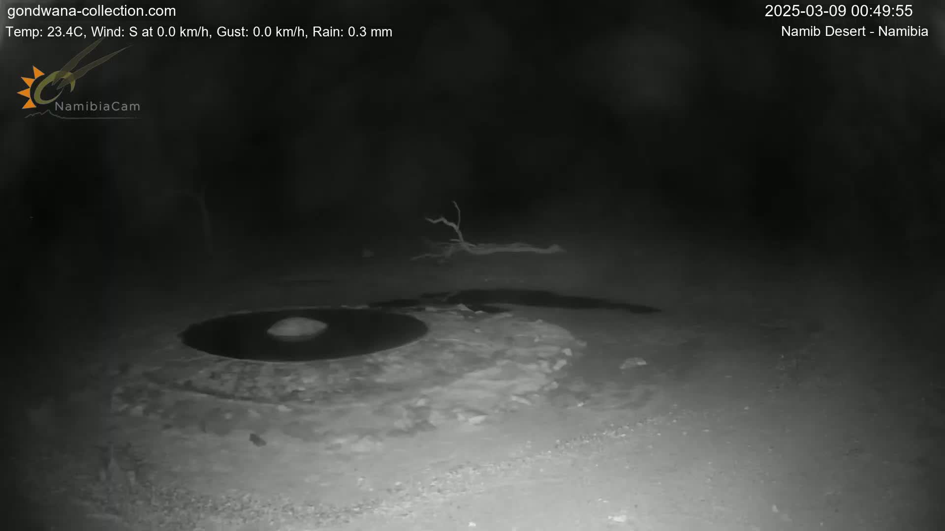 A dark, nighttime scene in the Namib Desert shows a shallow, dark pool of water with a rock in the center, a fallen branch in the background, and light-colored ground.