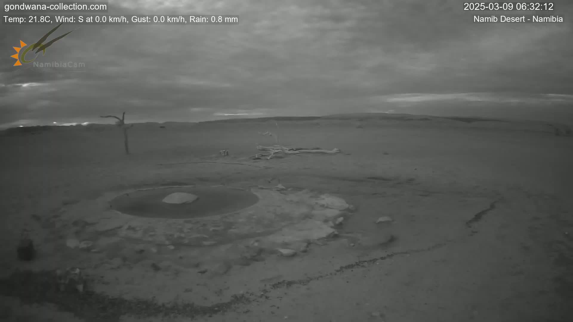 A dark, overcast desert landscape shows a small body of water surrounded by dry, cracked earth, with a lone, dead tree in the distance under a cloudy sky.