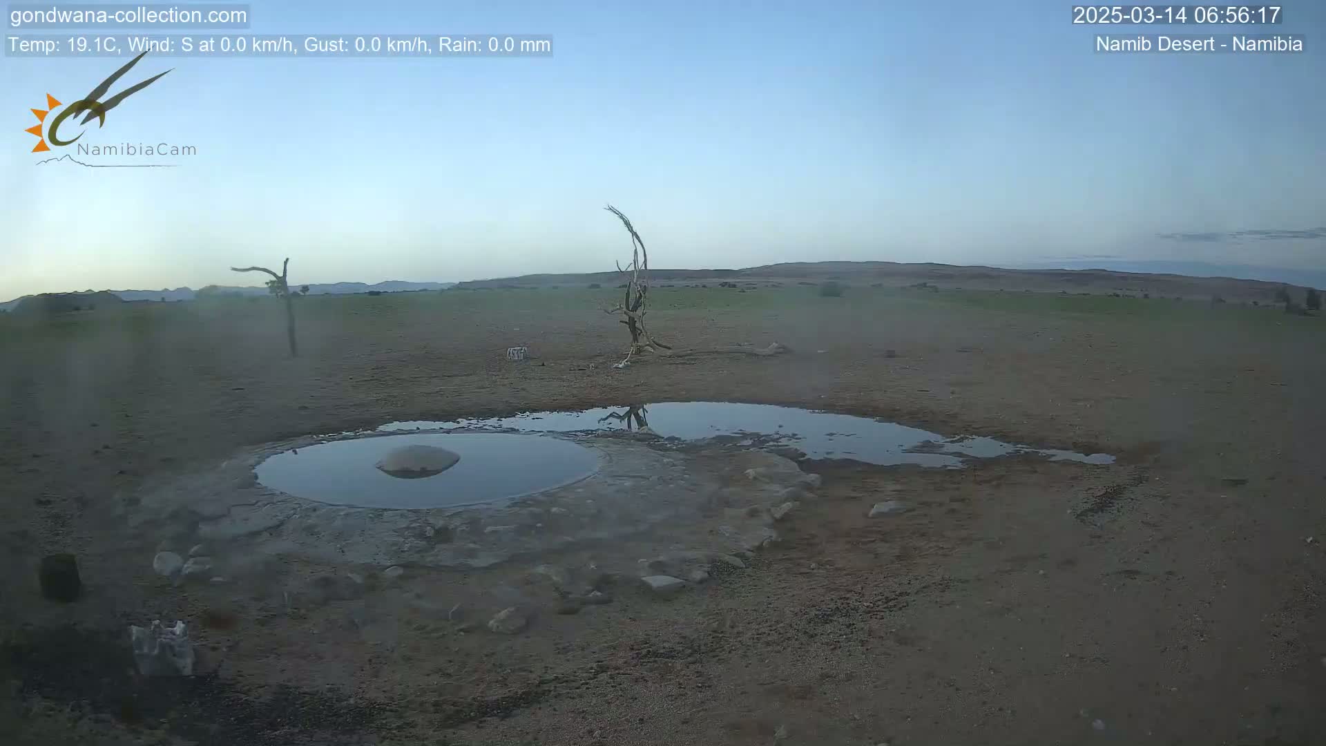 A calm, clear morning scene in the Namib Desert shows a small, shallow pool of water surrounded by dry, light brown earth, a few sparse shrubs, and a dead tree.