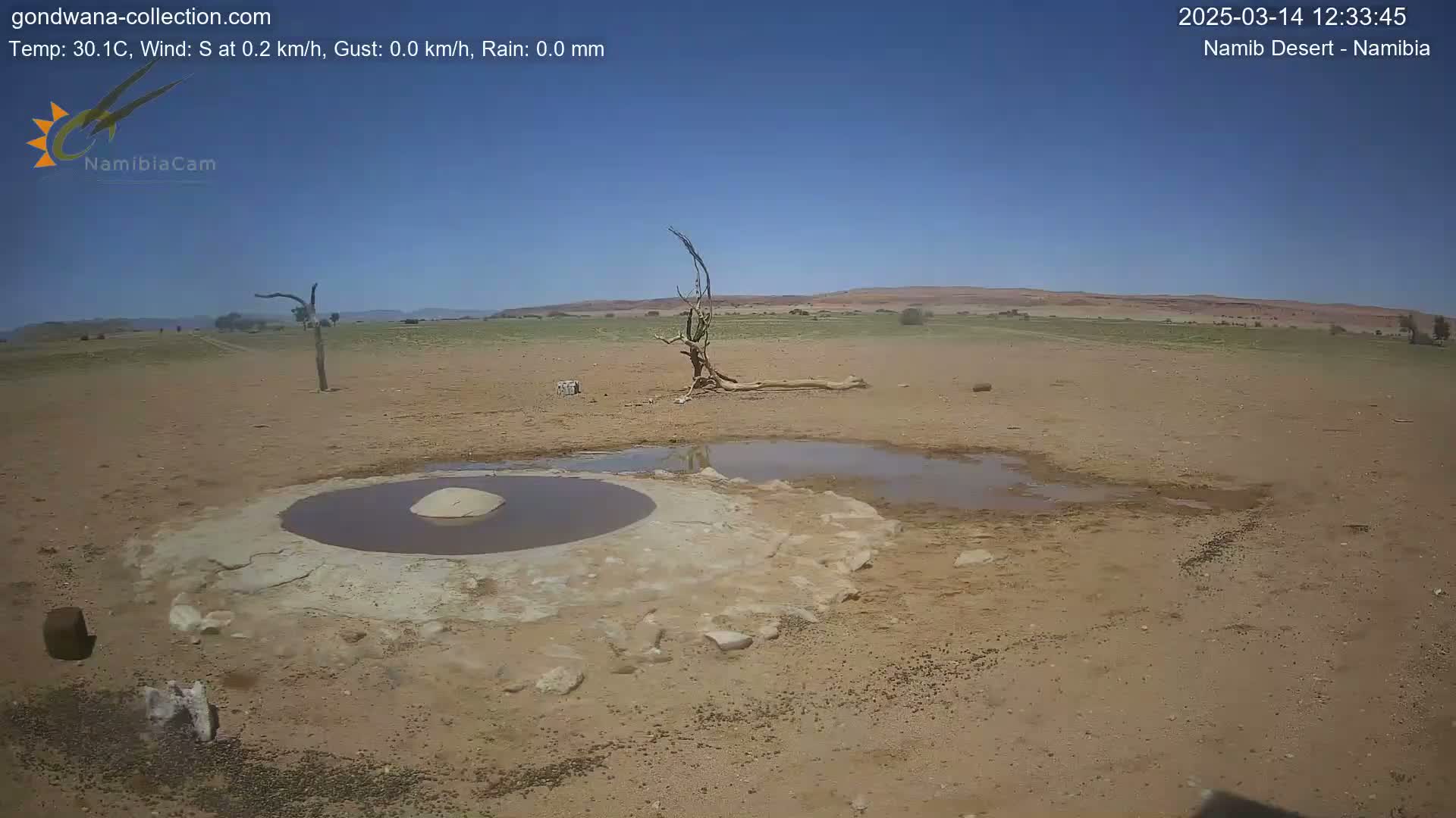 A small, shallow pool of water sits in the sandy Namib Desert under a clear blue sky.