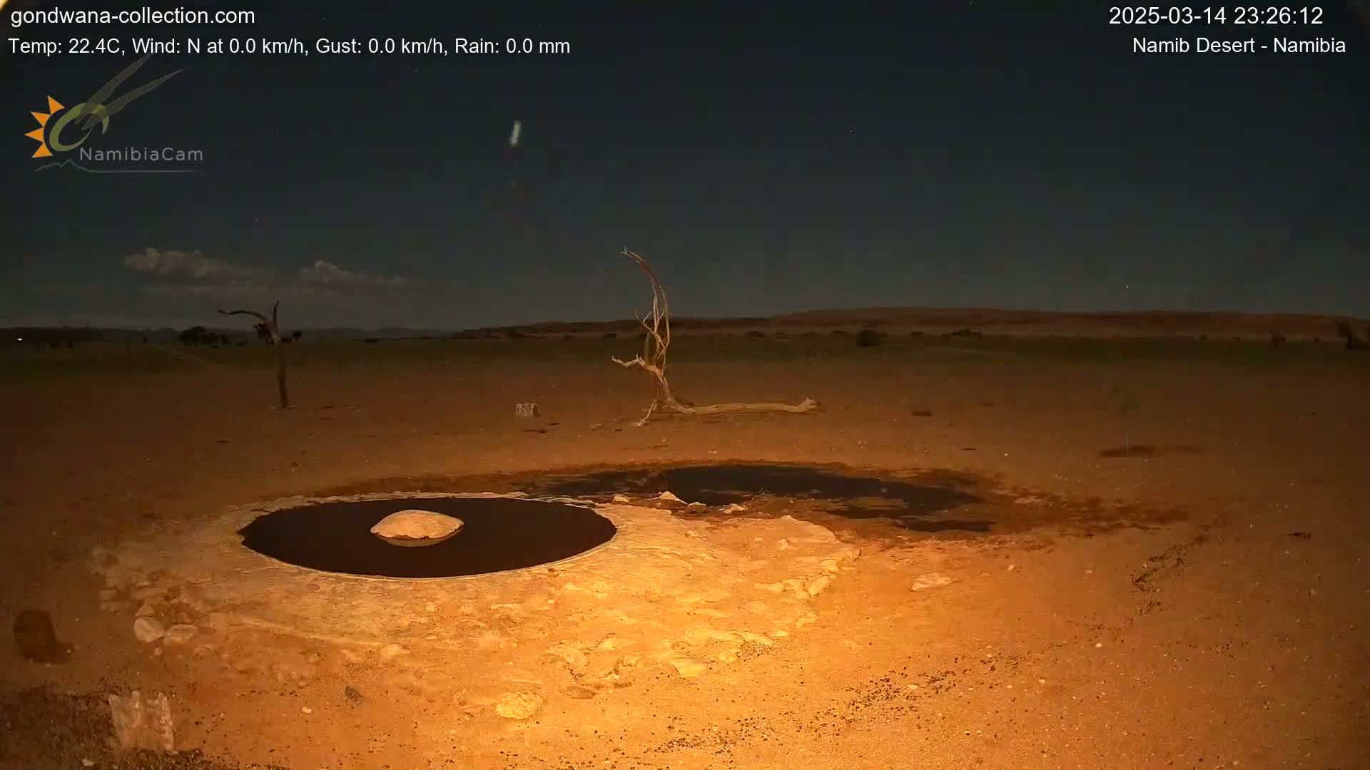 Under a clear night sky, a dark pool of water sits in a shallow, circular depression in the sand of a desert landscape, with a lone dead tree nearby.