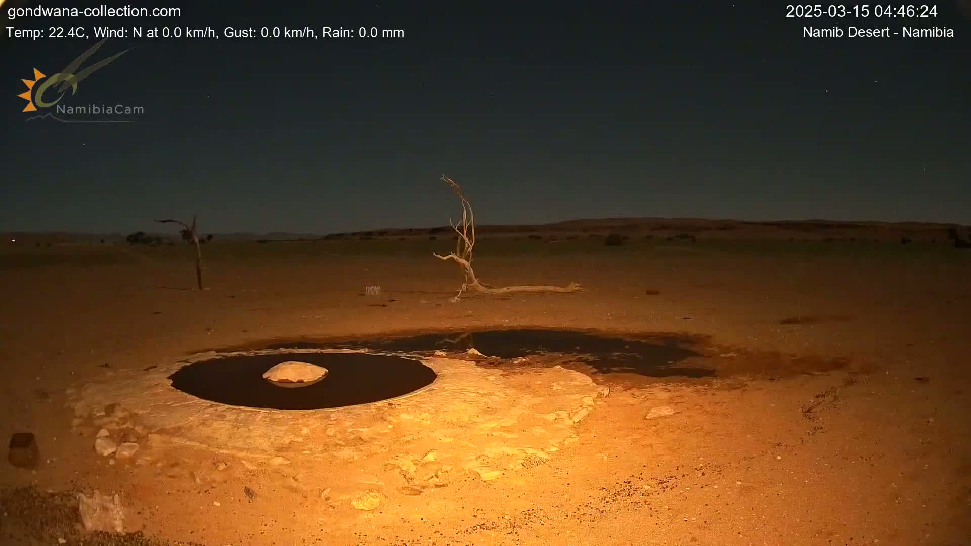 A dark, desert landscape at night shows a small, dark pool of water near a dead tree under a clear, starry sky.
