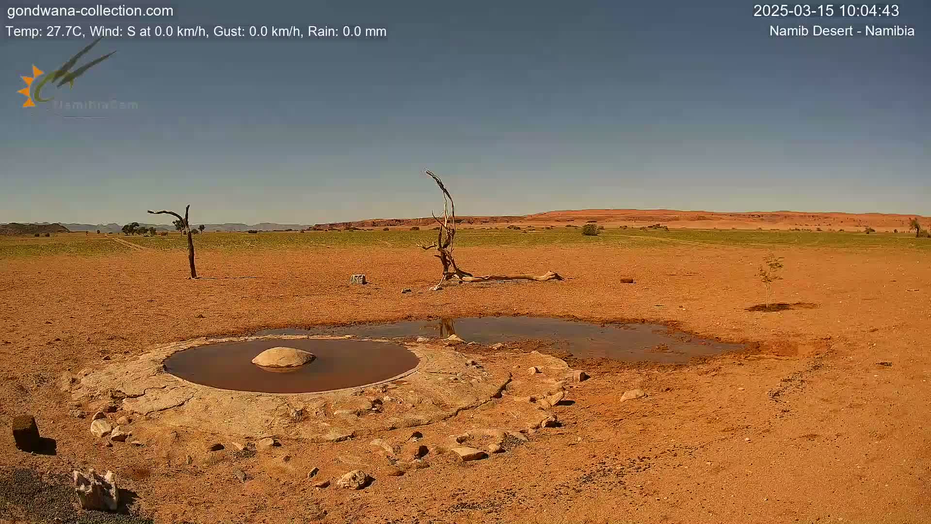 A small, shallow, muddy pool of water sits in the center of a flat, arid landscape under a clear, sunny sky, with sparse, dry vegetation and distant, low hills visible in the background.