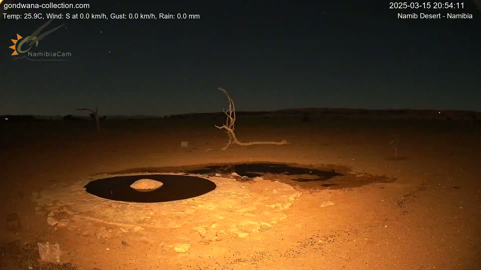 A dark, desert landscape at night shows a shallow, dark pool of water surrounded by sand, with a dead tree in the background under a clear, starry sky.