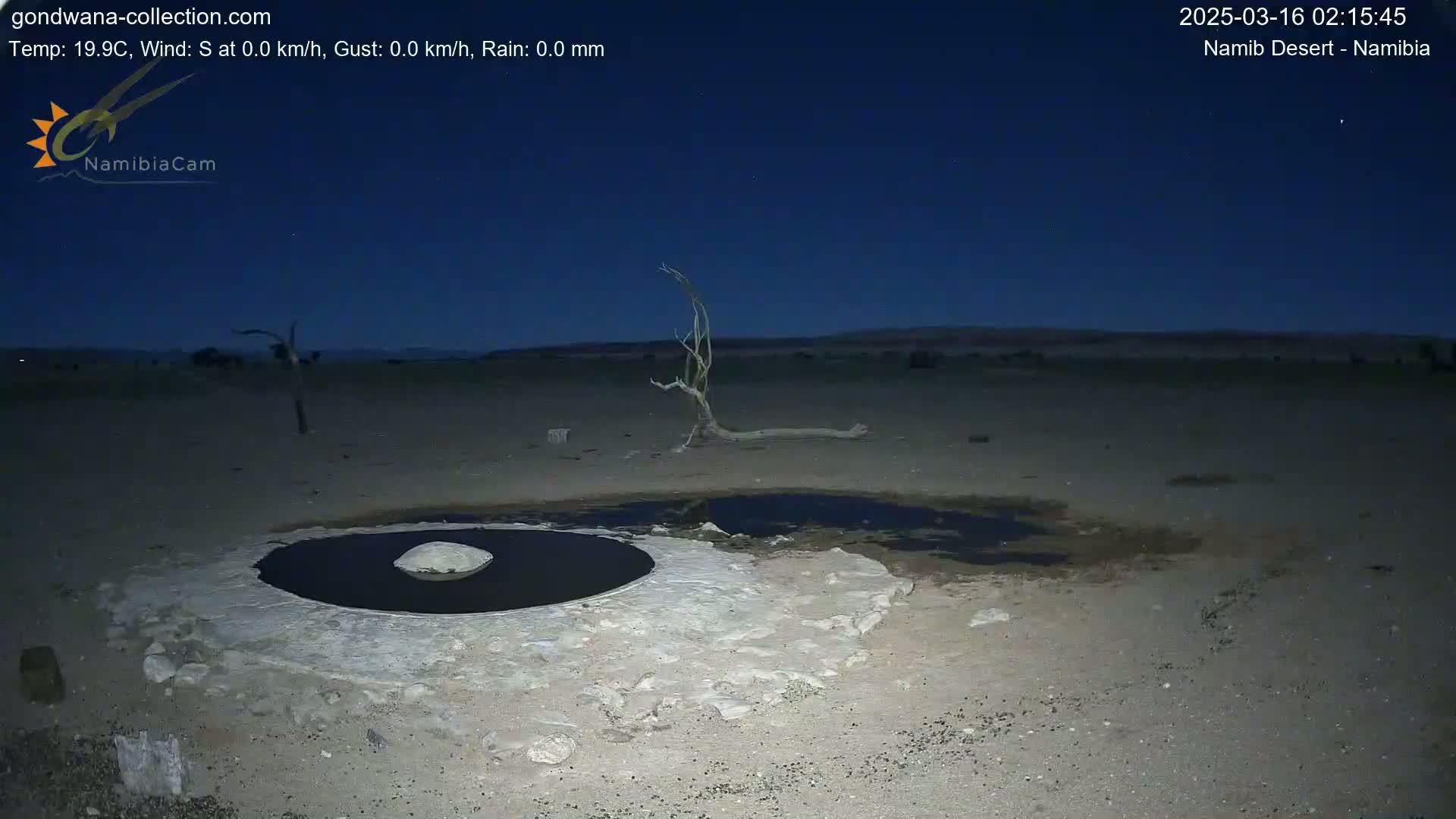 Under a dark, clear night sky, a shallow, dark pool of water sits in a light-colored, rocky area of desert, near a dead tree.