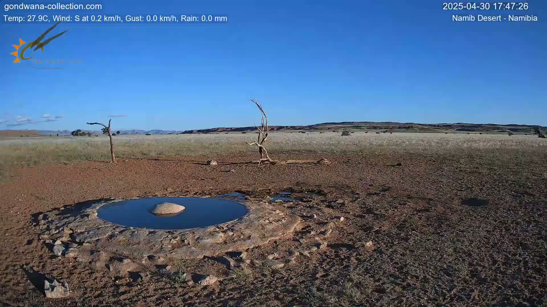 A small, dark pool of water sits in a dry, reddish-brown desert landscape under a clear blue sky.