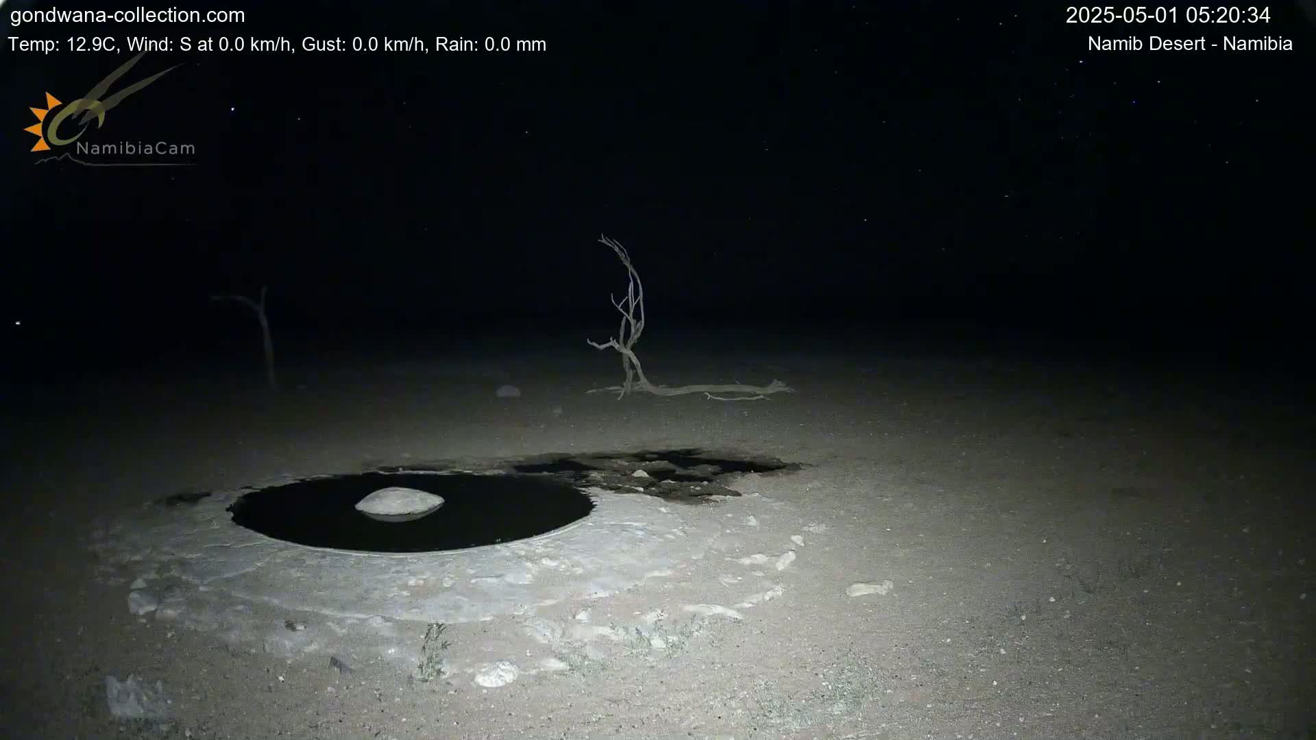 Under a starry night sky, a dark pool of water sits in a light-colored, arid landscape with a few dead trees nearby.