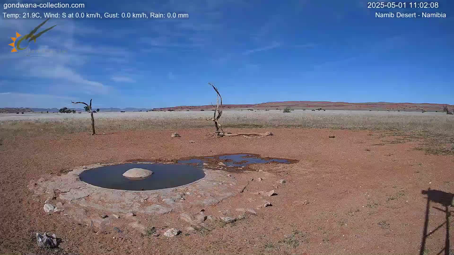 A dry, reddish-brown desert landscape under a mostly clear blue sky shows a small, shallow pool of water near a dead tree and some scattered rocks.