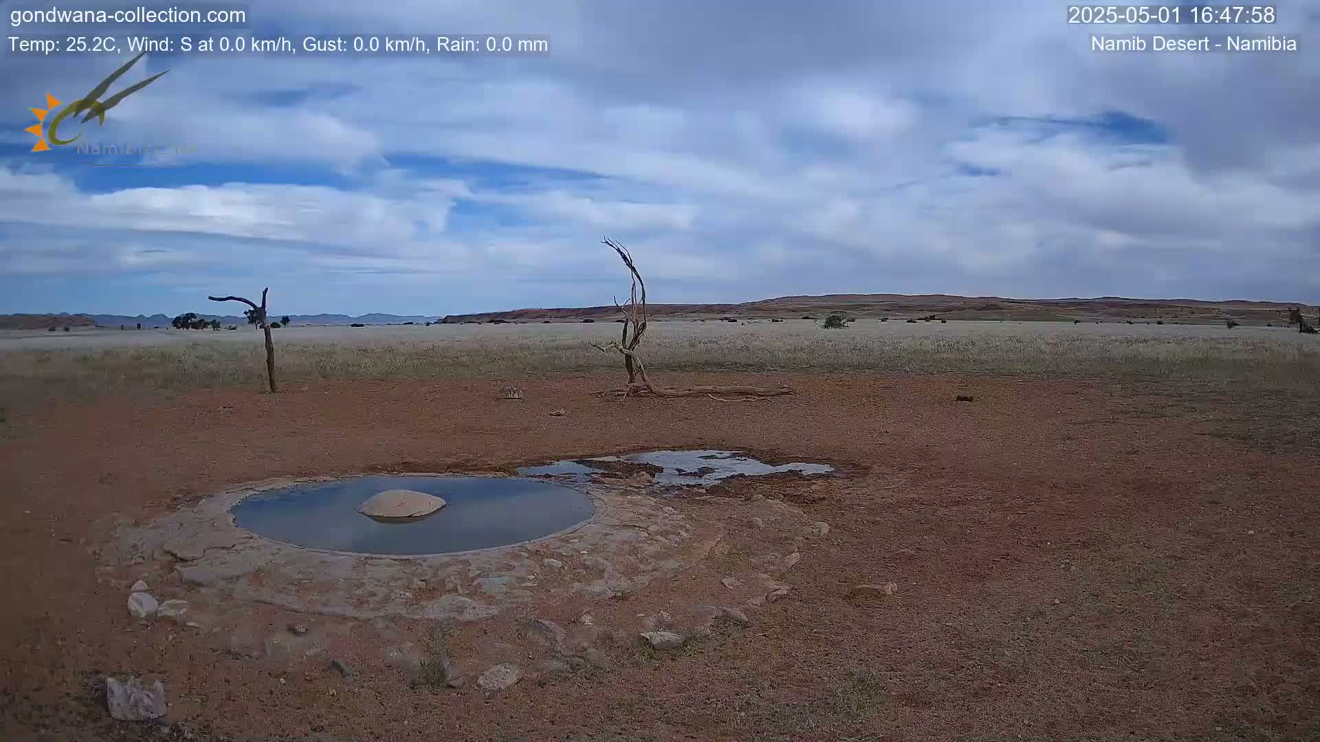 A small, shallow pool of water sits in a dry, reddish-brown desert landscape under a partly cloudy sky.