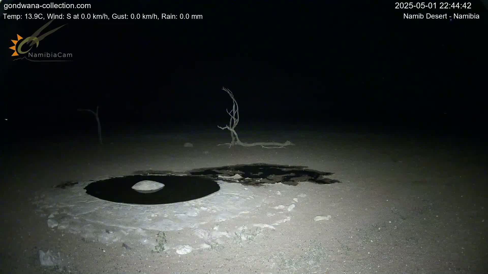 A dark, nighttime desert scene shows a small, dark pool of water surrounded by lighter-colored, sandy ground, with a dead tree in the background under a clear, starless sky.