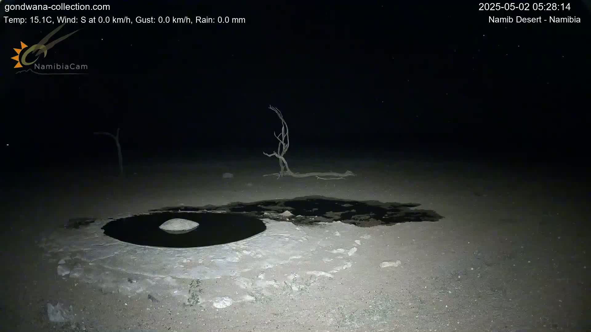 A dark, nighttime scene shows a small, dark pool of water surrounded by light-colored, sandy ground, with a dead tree in the background under a clear, starry sky.