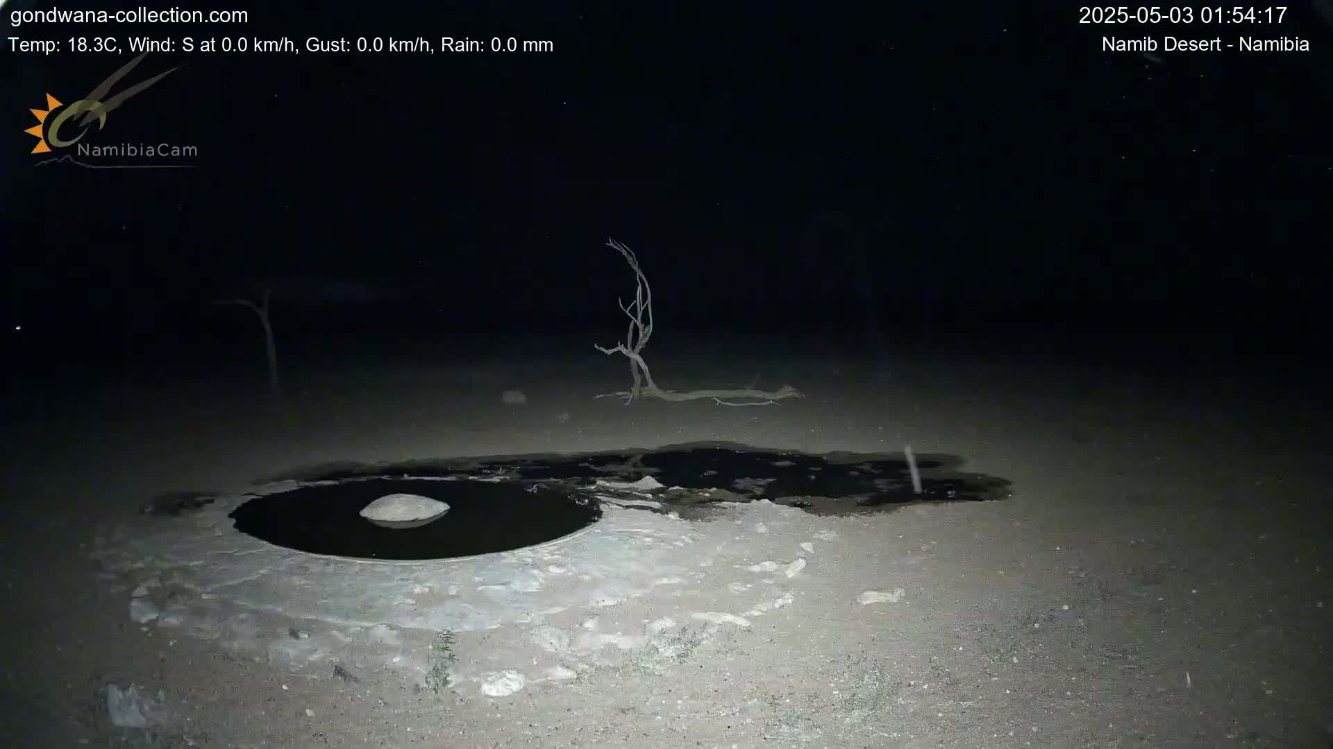 Under a clear, dark night sky, a shallow pool of water sits in the middle of a sandy expanse next to a barren, leafless tree.