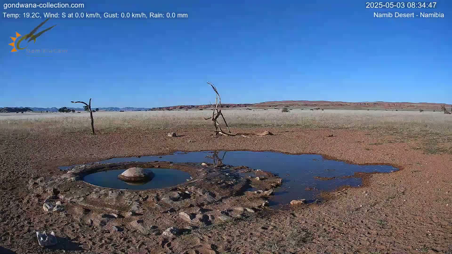 A small, shallow pool of water sits in a dry, sandy desert landscape under a clear blue sky.