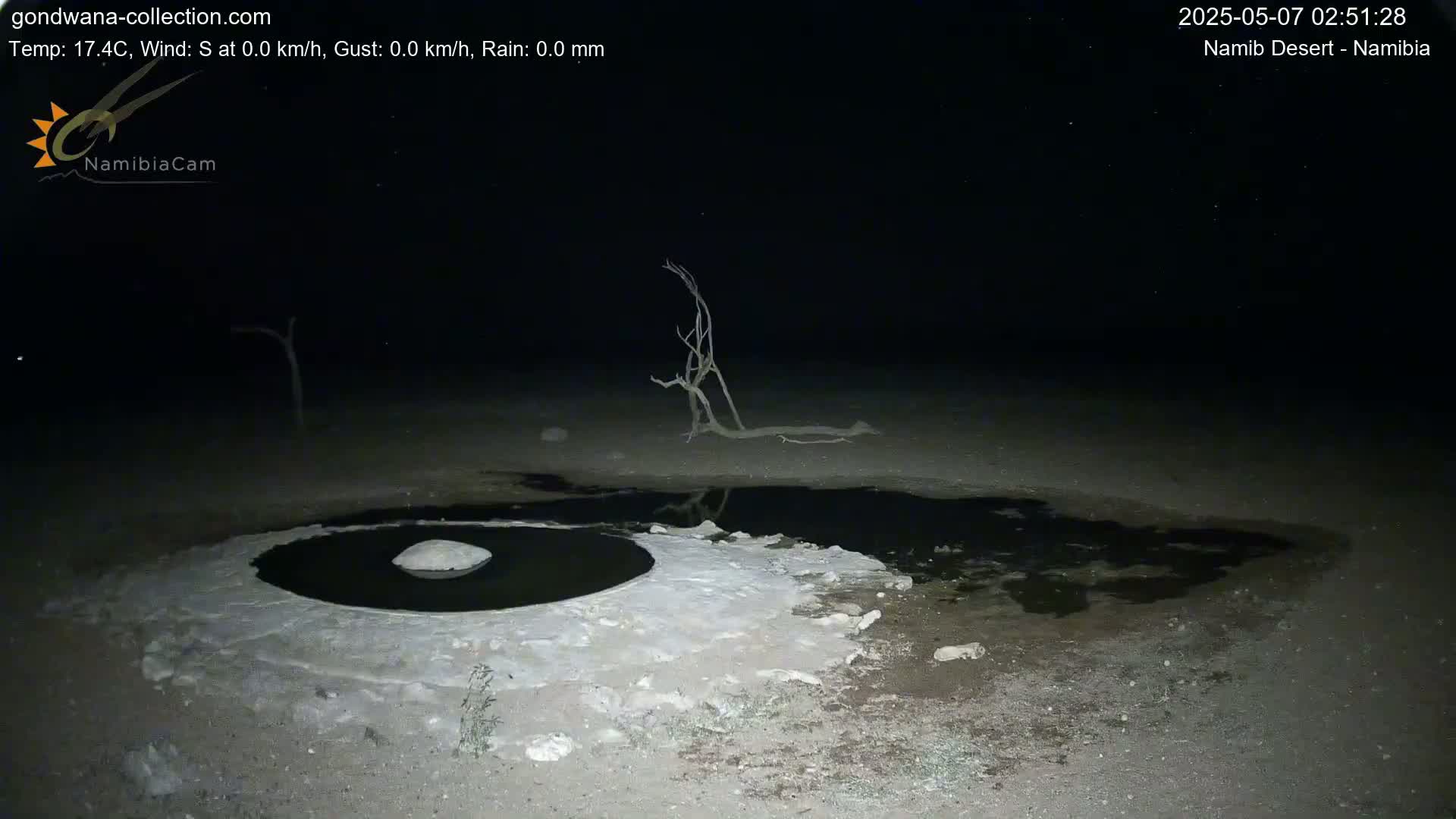 Under a clear night sky, a dark pool of water surrounded by a white, crusty substance sits in a desert landscape near a dead tree.