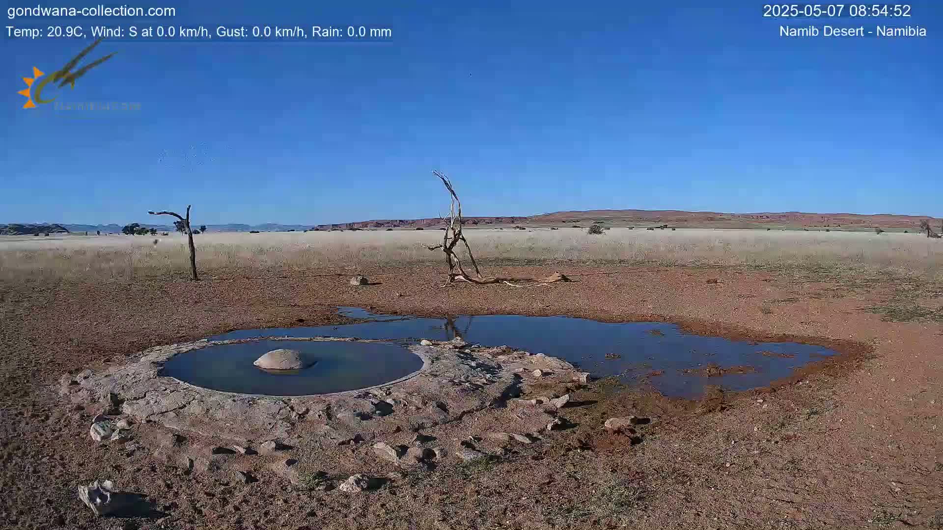 A small, circular watering hole surrounded by dry, reddish-brown earth and a few dead trees is situated in a desert landscape under a clear blue sky.