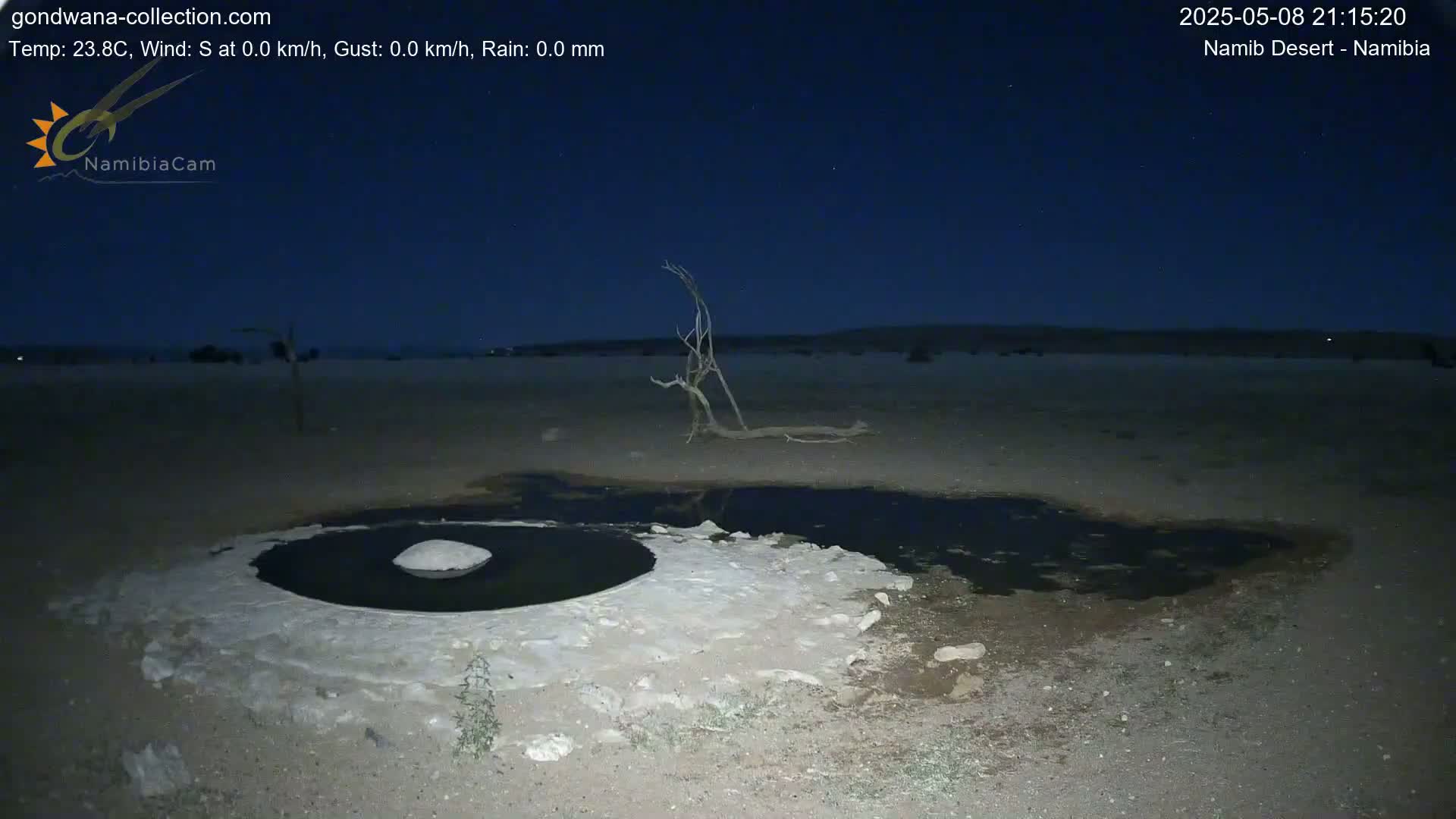 Under a dark night sky, a shallow, dark pool of water surrounded by a white, crusty substance sits in a sandy desert landscape near a dead, leafless tree.
