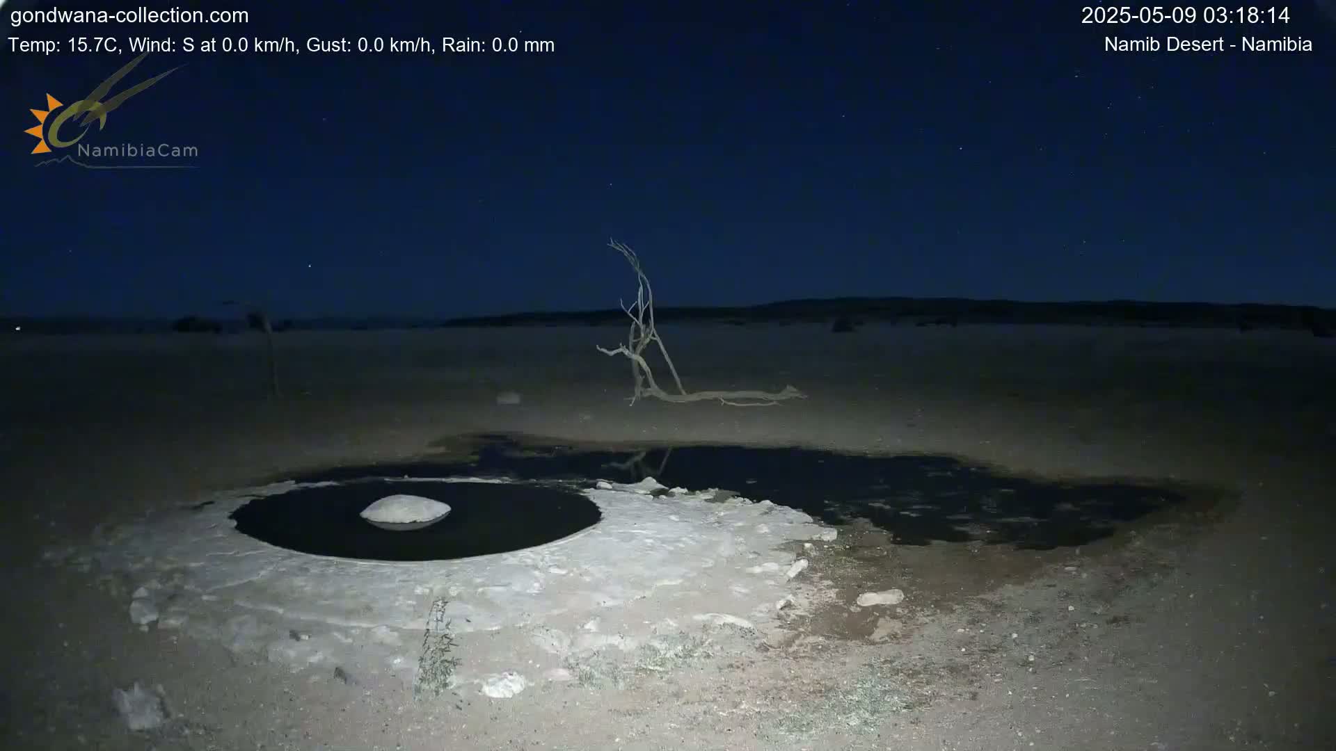 Under a clear, starry night sky, a dark pool of water surrounded by light-colored, crusty ground sits near a dead, leafless tree in a desert landscape.