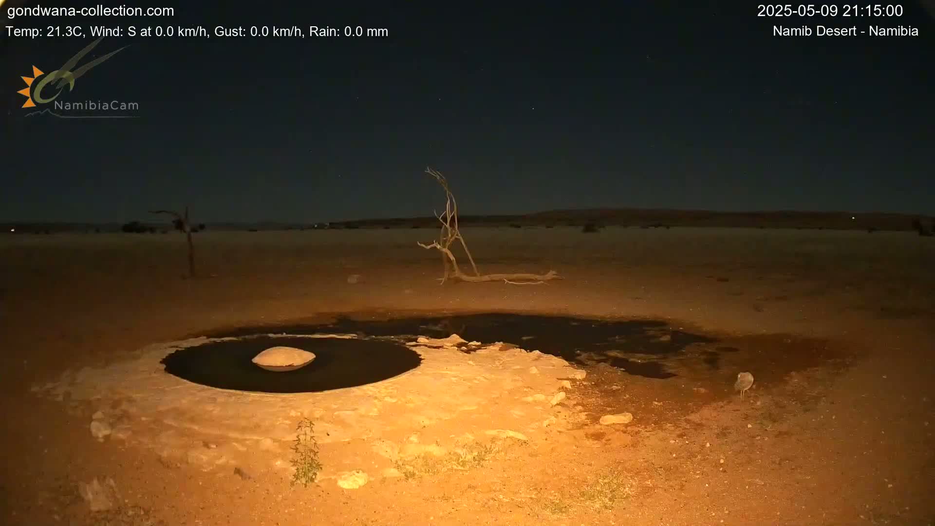 A dark pool of water sits in a sandy desert under a clear, starry night sky.