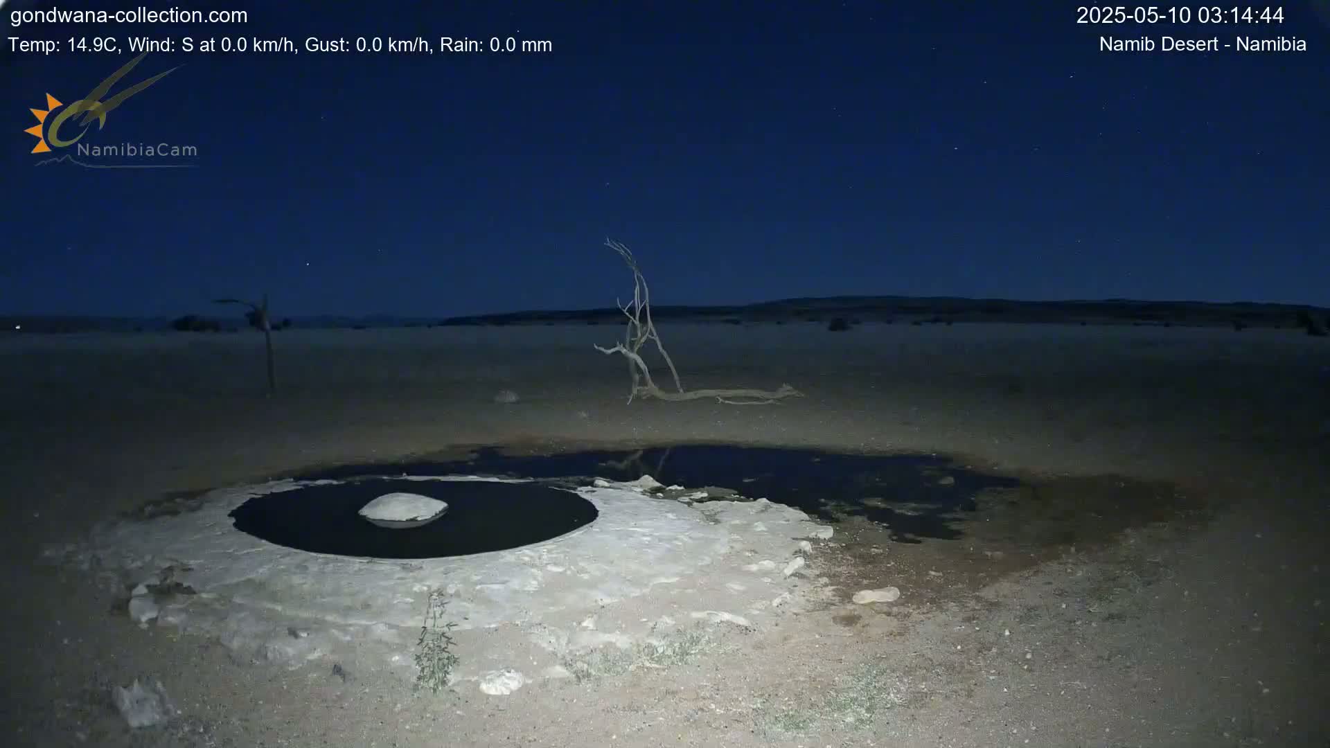 Under a clear, dark night sky, a small, dark pool of water sits within a light-colored, circular, rocky area in a desert landscape, with a barren tree in the background.