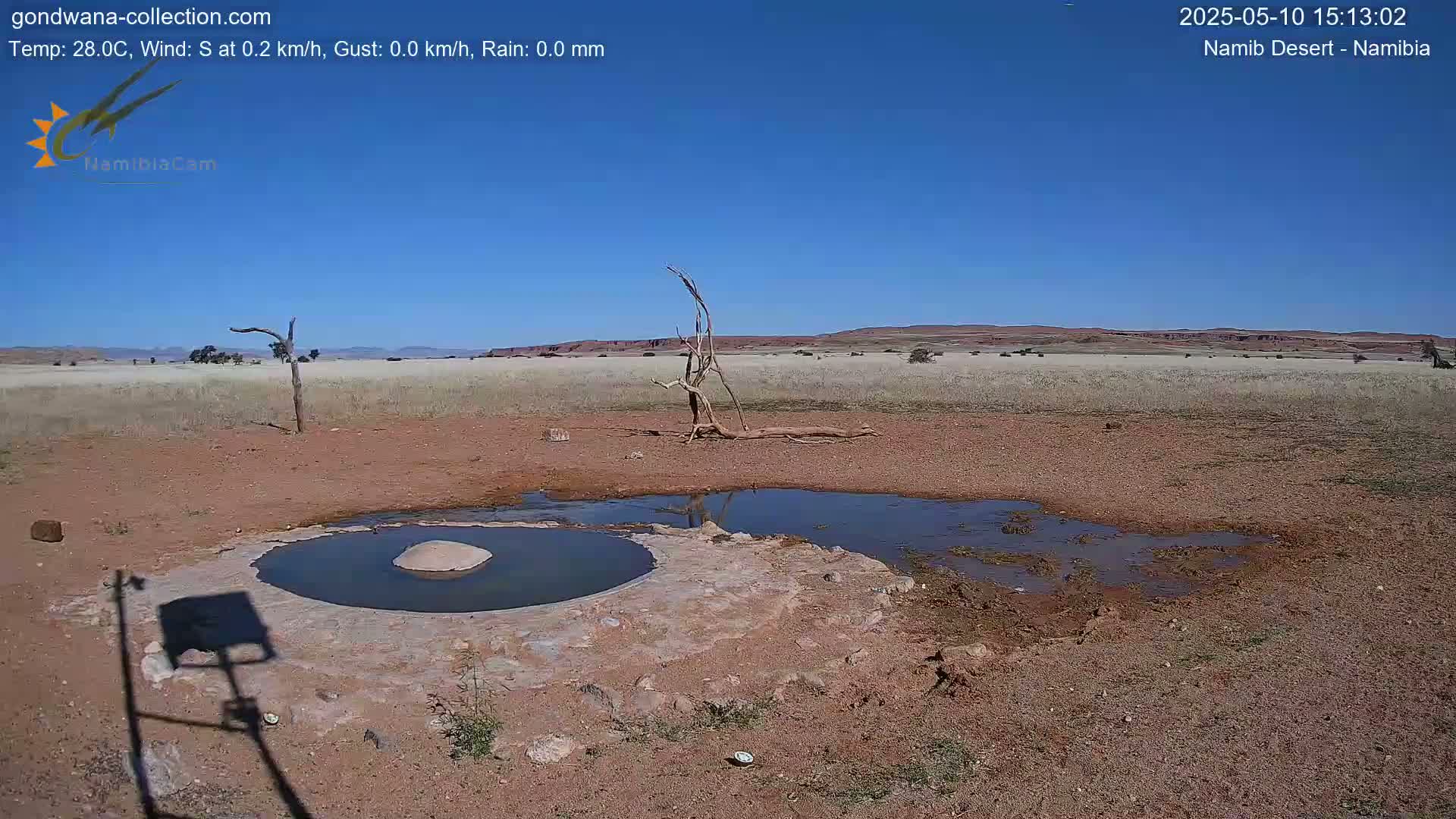 A small, shallow pool of water sits in the arid, reddish-brown earth of a desert landscape under a clear blue sky.