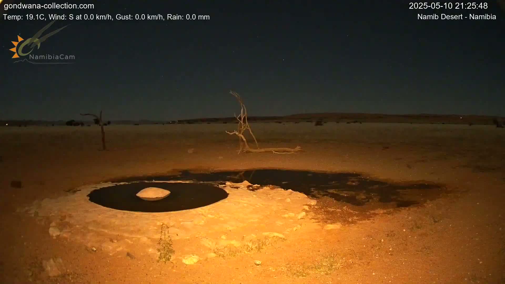 Under a clear night sky, a small, dark pool of water sits in the sandy desert, near a few sparse, dead trees.