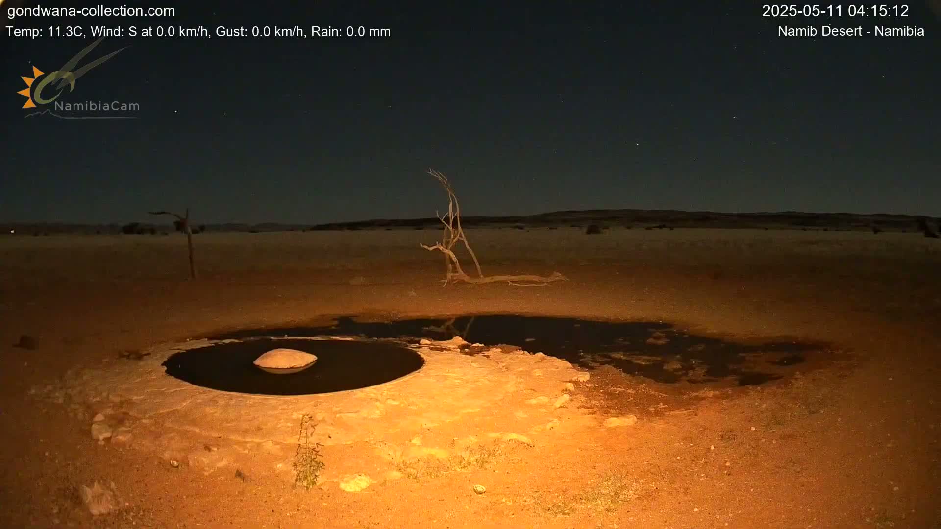 Under a clear, starry night sky, a small, dark pool of water sits in a sandy desert landscape near a dead tree.